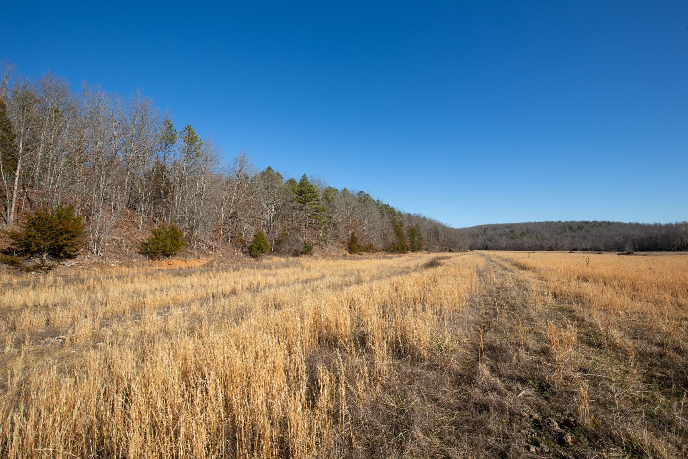 O’Connor Crossing Tract 4 photo 14