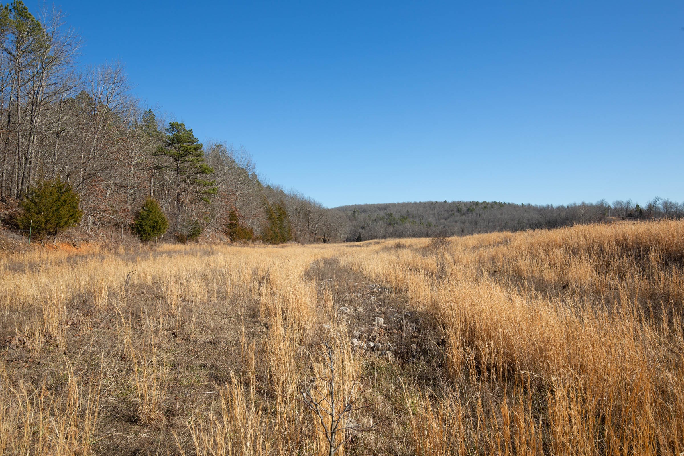O’Connor Crossing Tract 4 photo 15
