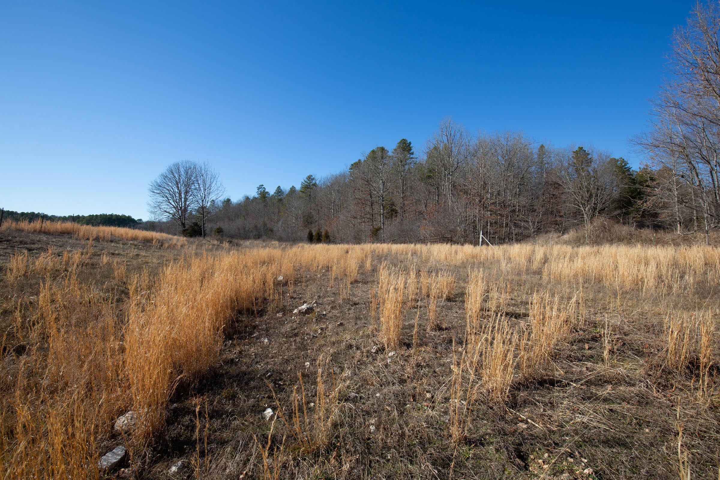 O’Connor Crossing Tract 4 photo 7