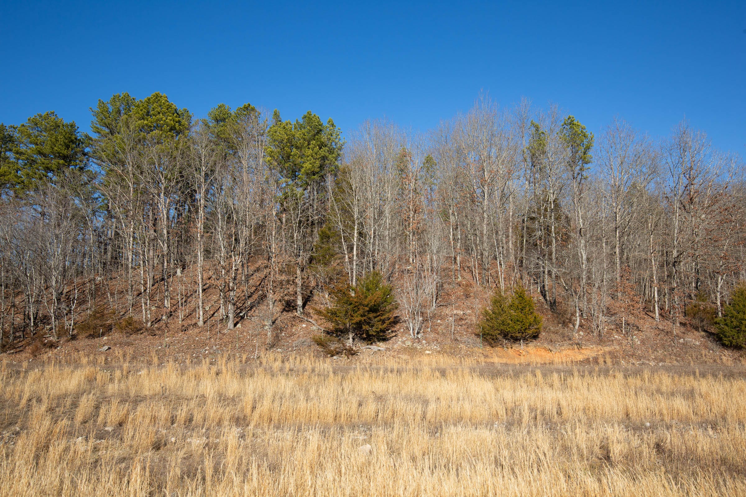 O’Connor Crossing Tract 4 photo 16
