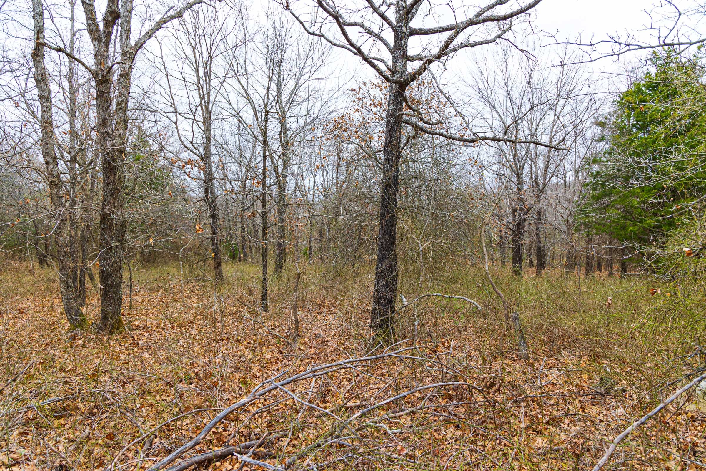 Reserves At Cattail Cove Phase I Tract 22 photo 16