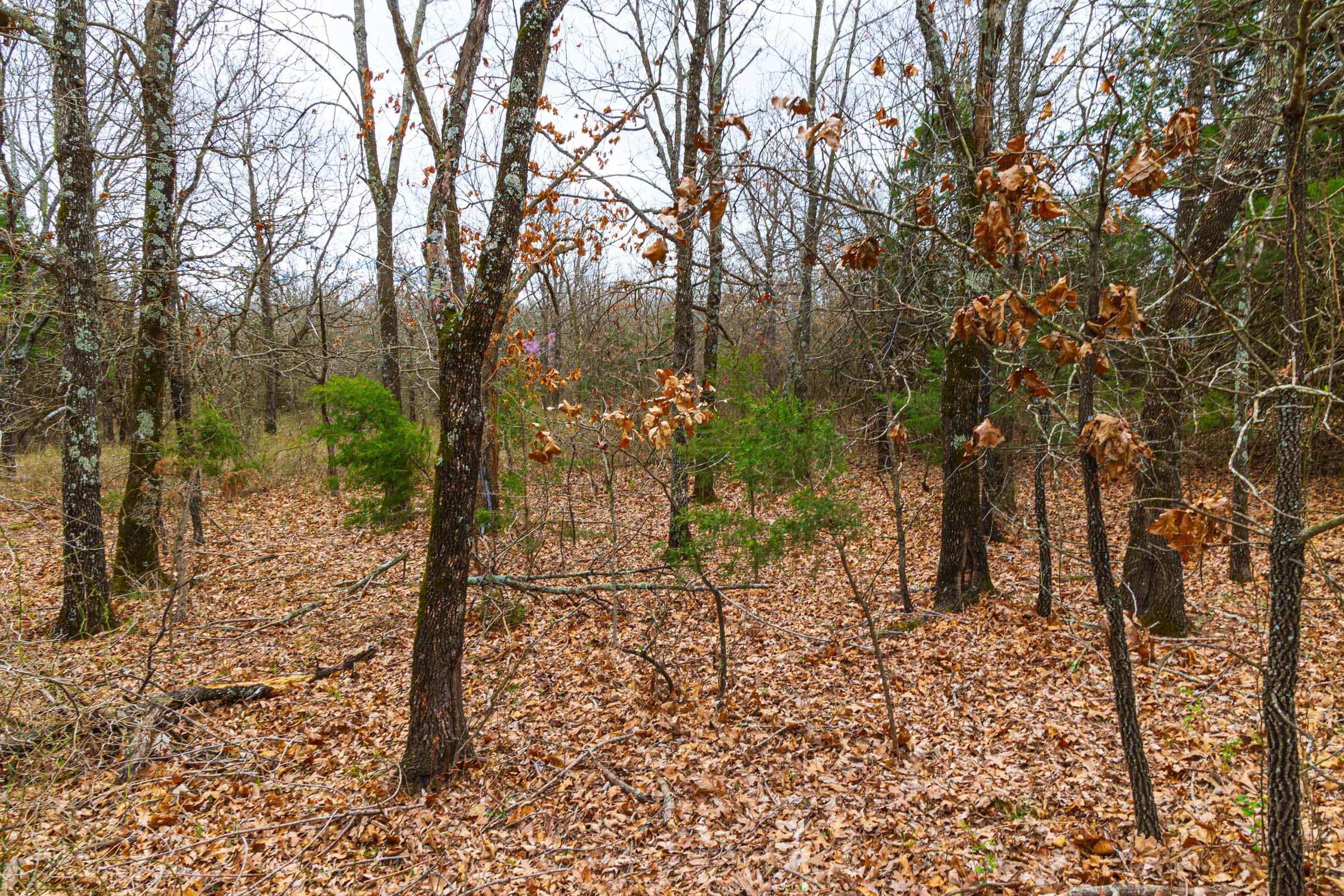 Reserves At Cattail Cove Phase I Tract 22 photo 11