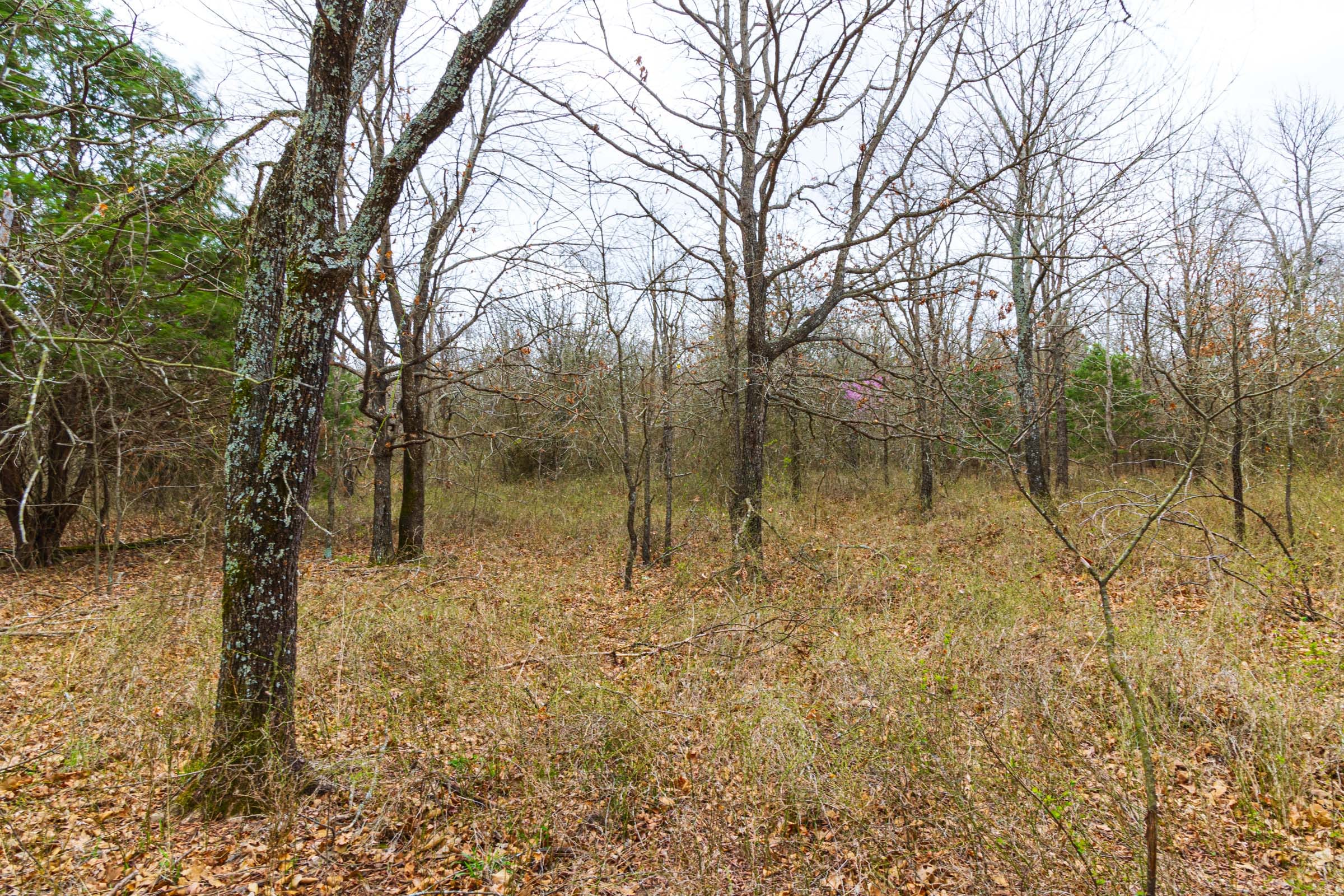 Reserves At Cattail Cove Phase I Tract 22 photo 8