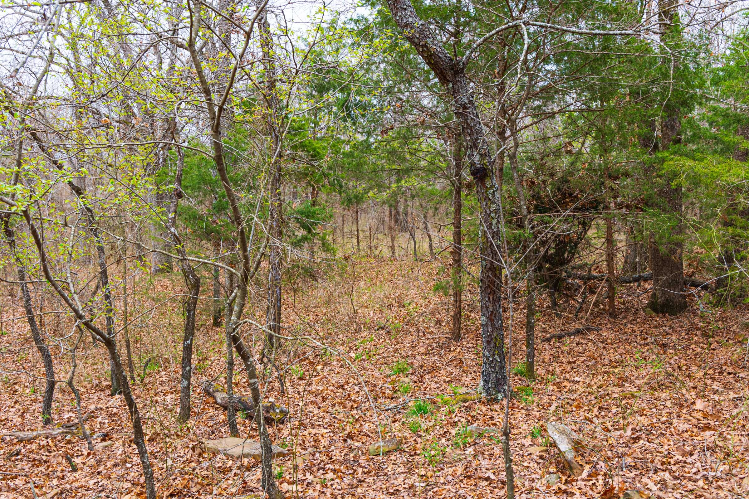 Reserves At Cattail Cove Phase I Tract 22 photo 7