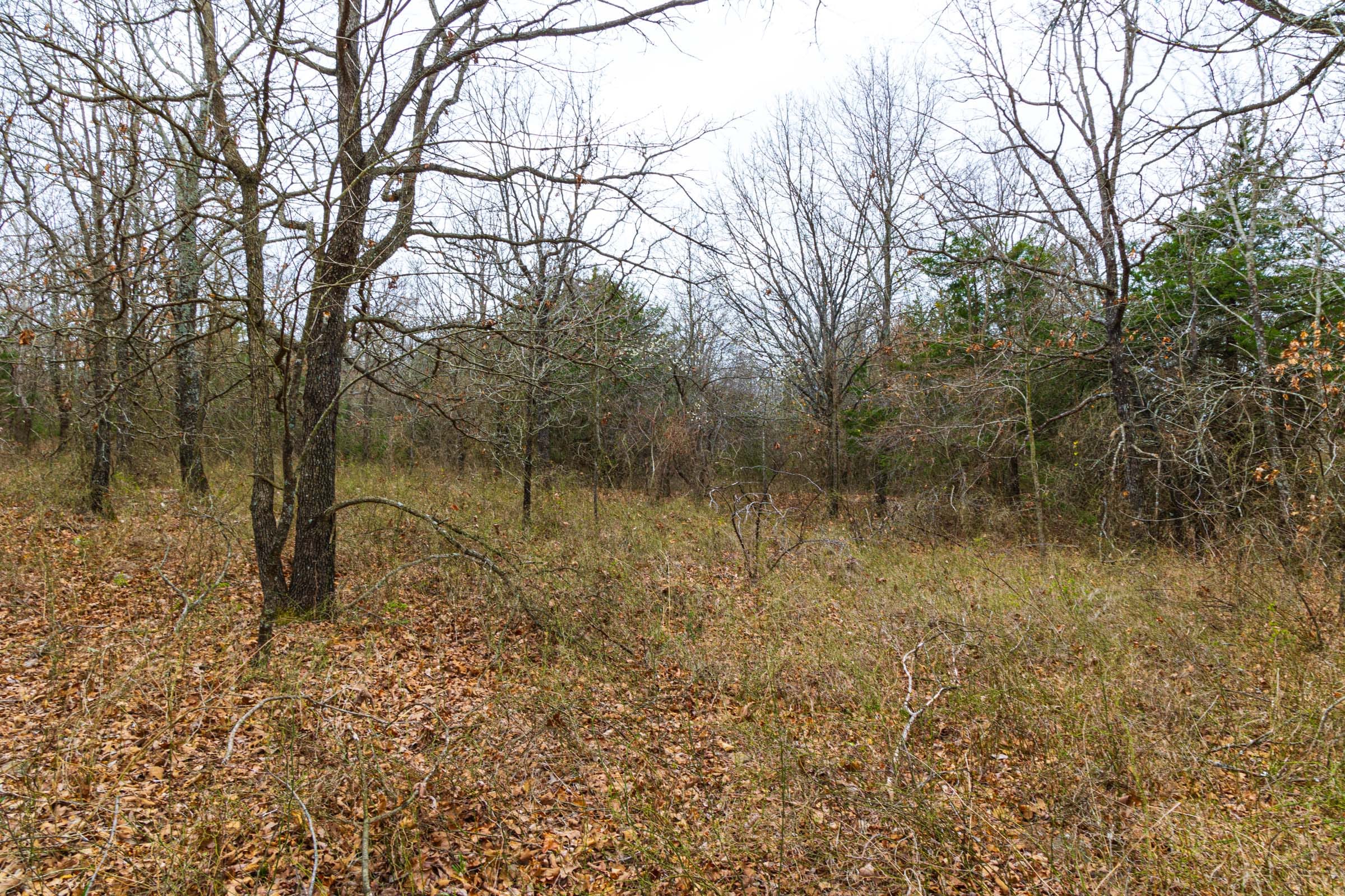 Reserves At Cattail Cove Phase I Tract 22 photo 6