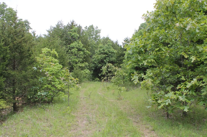 Cedar Ridge Ranch Tract 28 photo 1