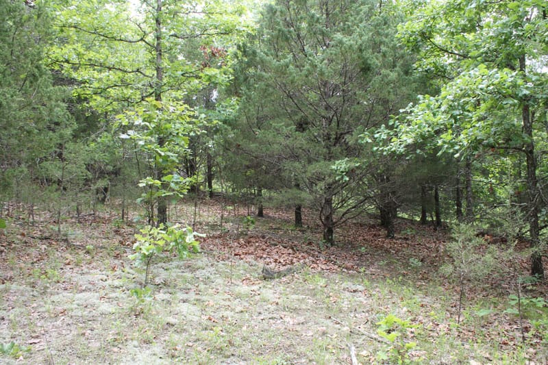 Cedar Ridge Ranch Tract 28 photo 9