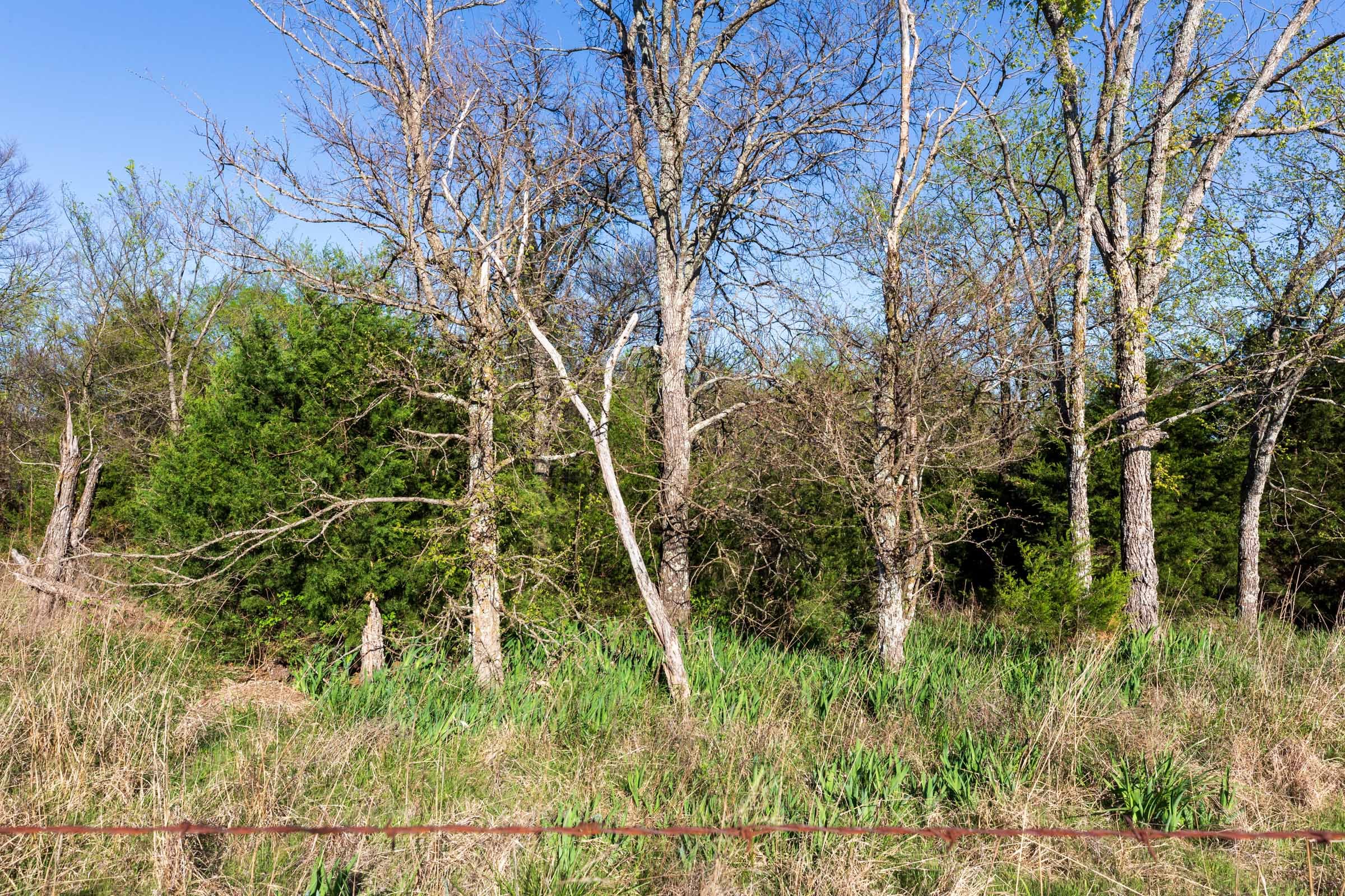 Prairie Grove Tract 5 photo 4