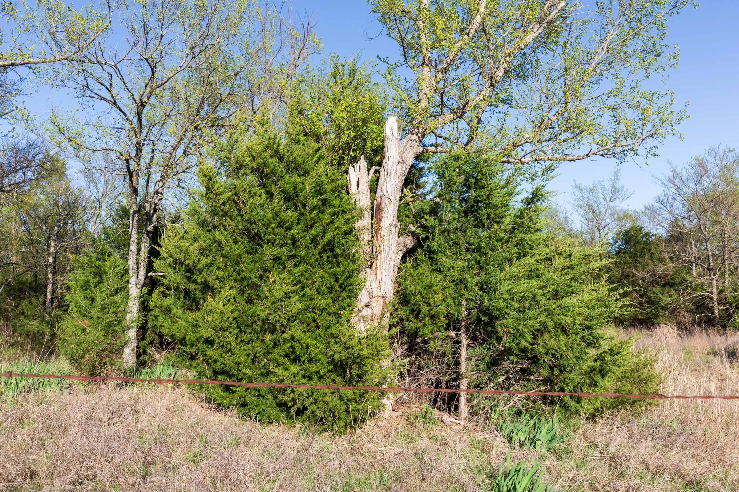 Prairie Grove Tract 5 photo 5