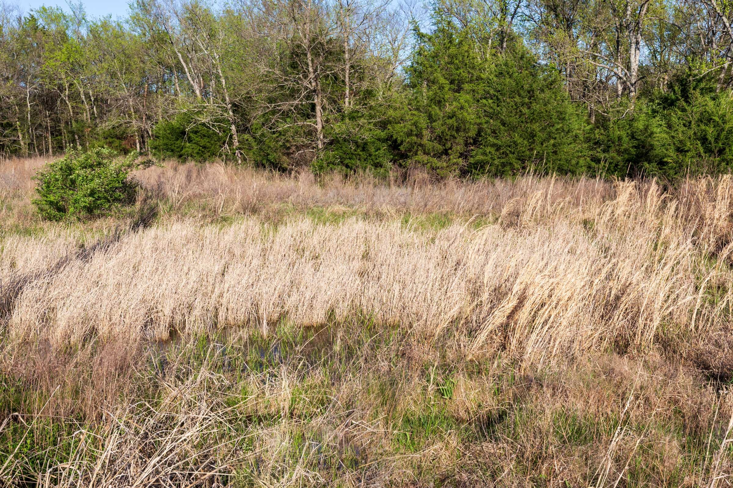 Prairie Grove Tract 5 photo 7