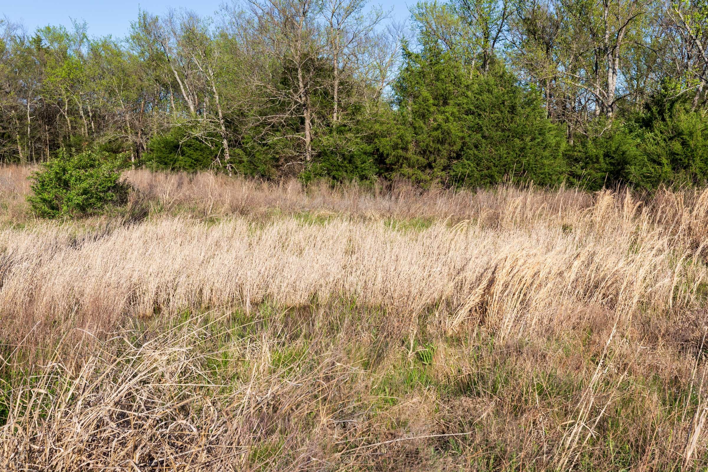 Prairie Grove Tract 5 photo 10