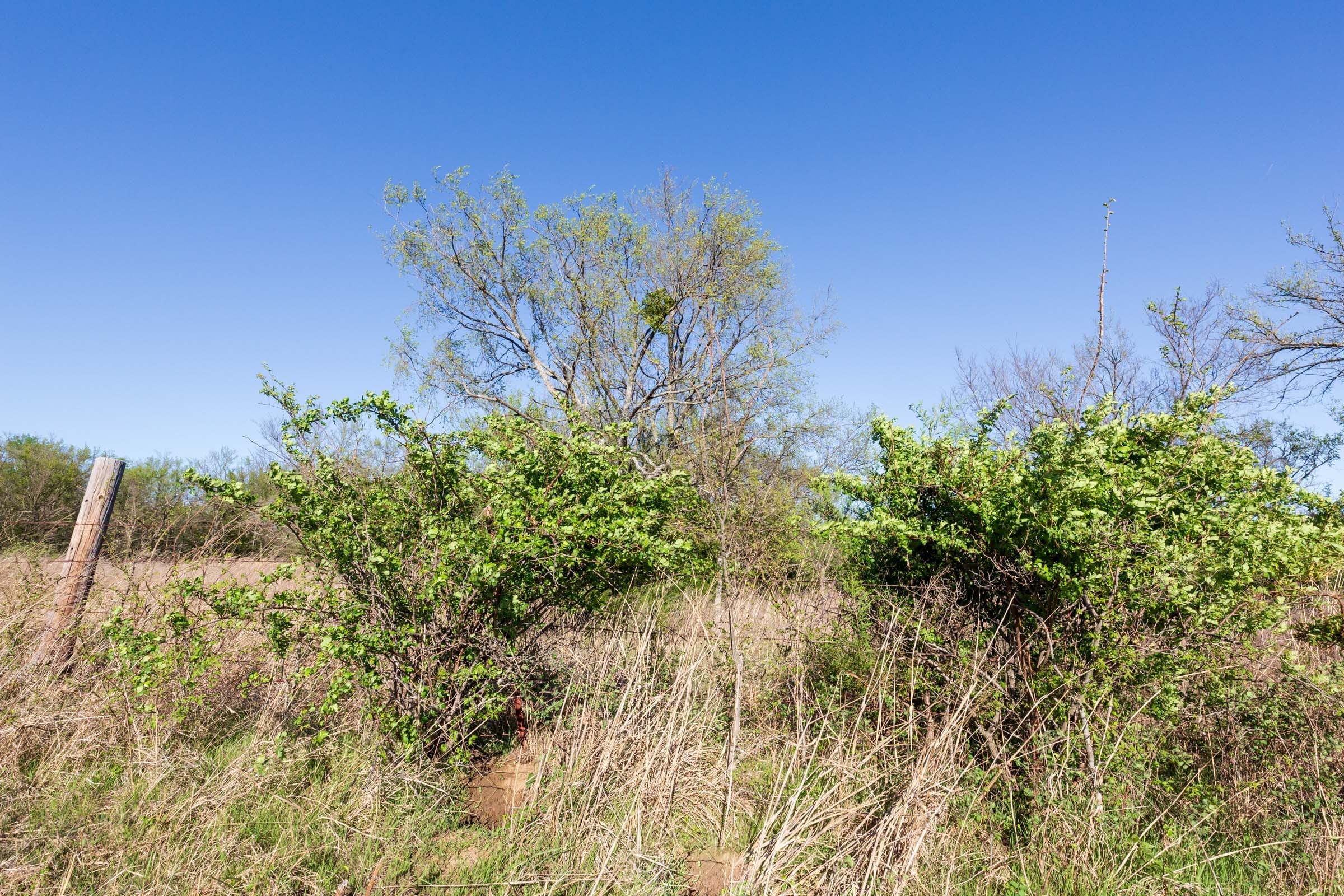 Prairie Grove Tract 5 photo 9