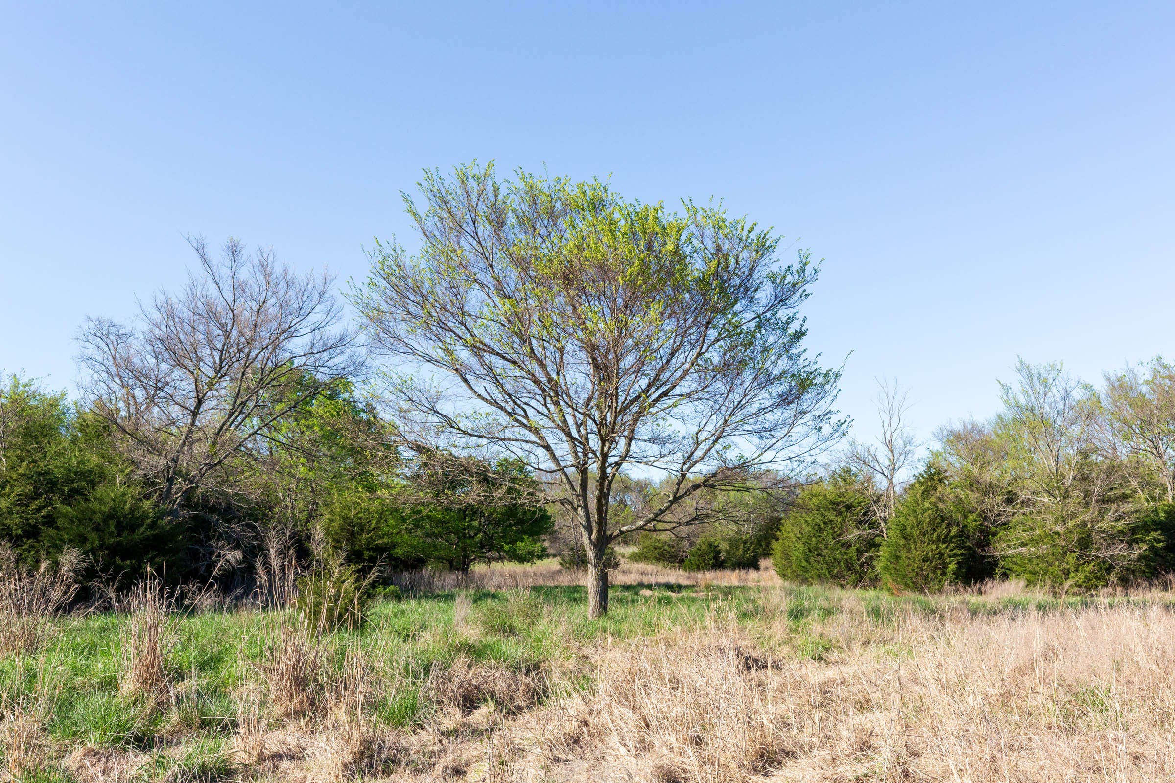 Prairie Grove Tract 5 photo 12