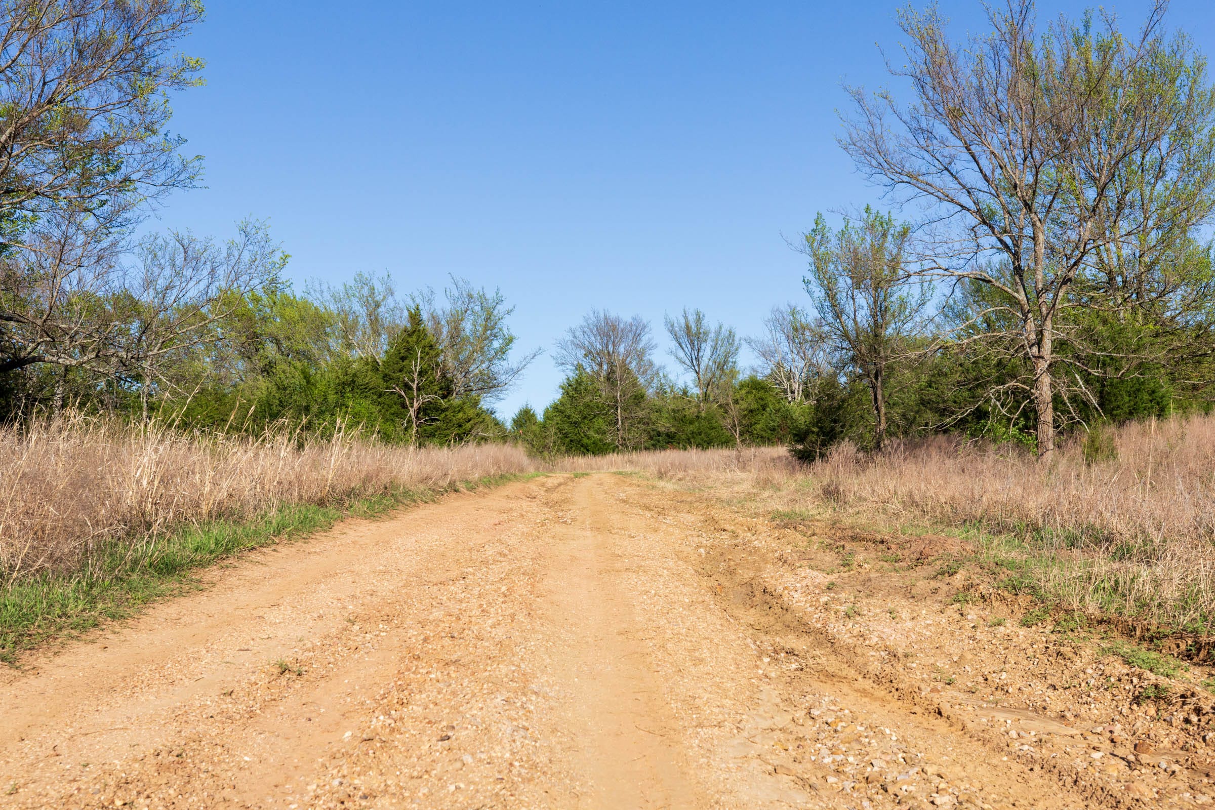 Prairie Grove Tract 5 photo 11