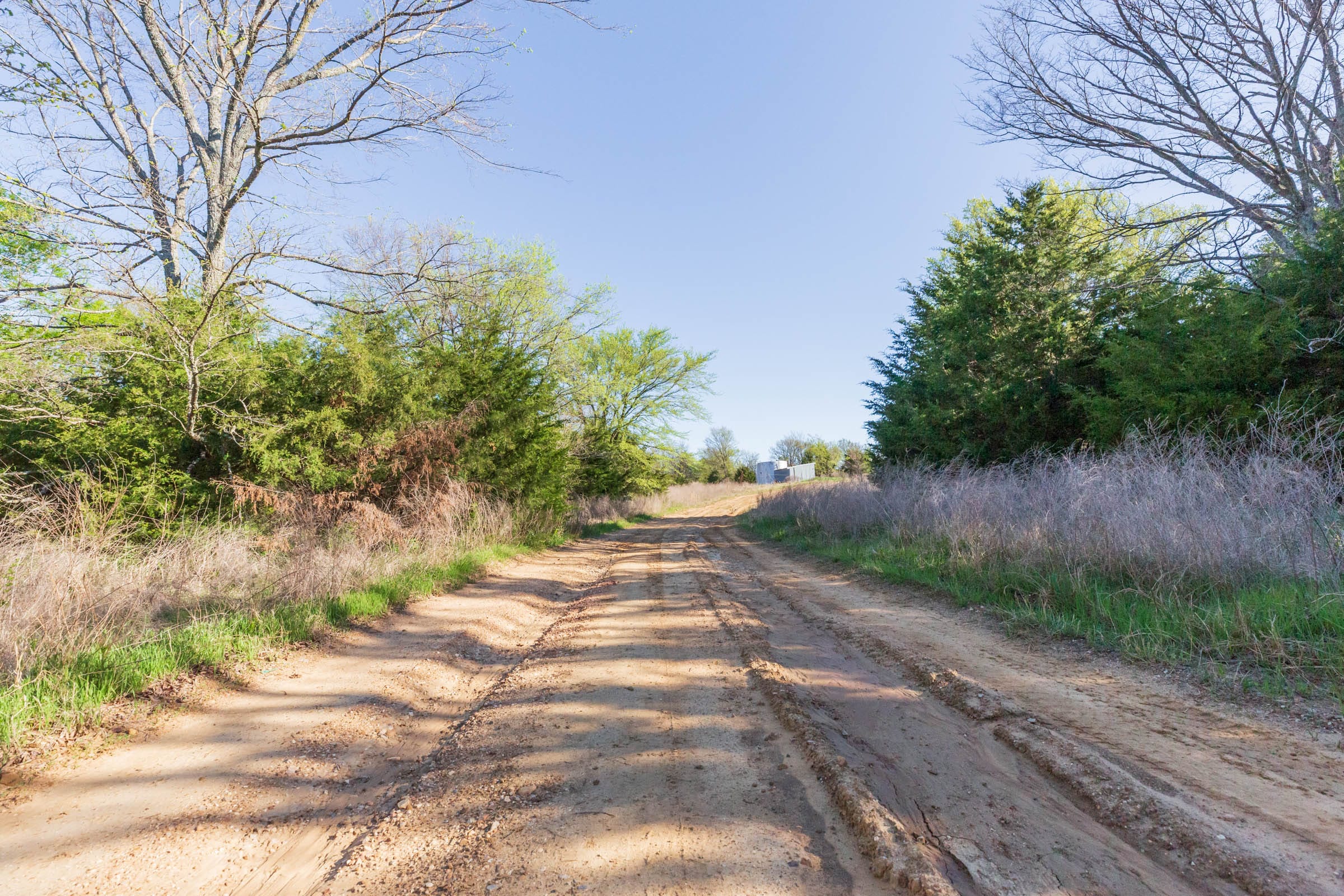 Prairie Grove Tract 5 photo 6