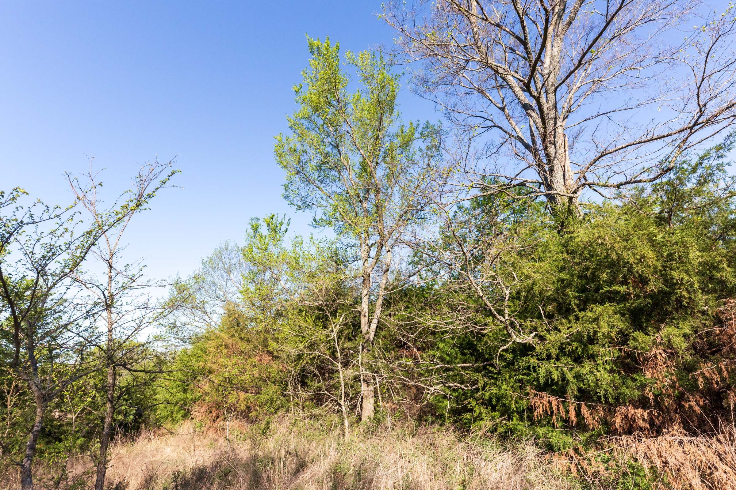 Prairie Grove Tract 5 photo 15