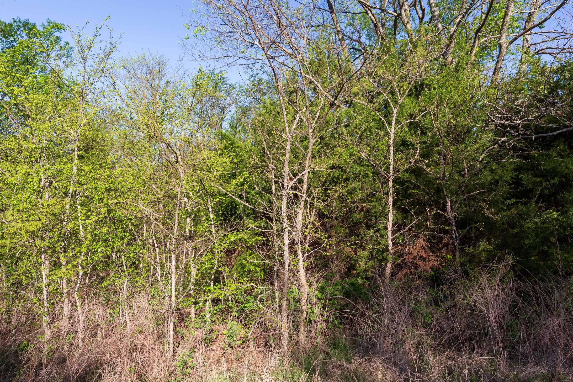 Prairie Grove Tract 5 photo 16