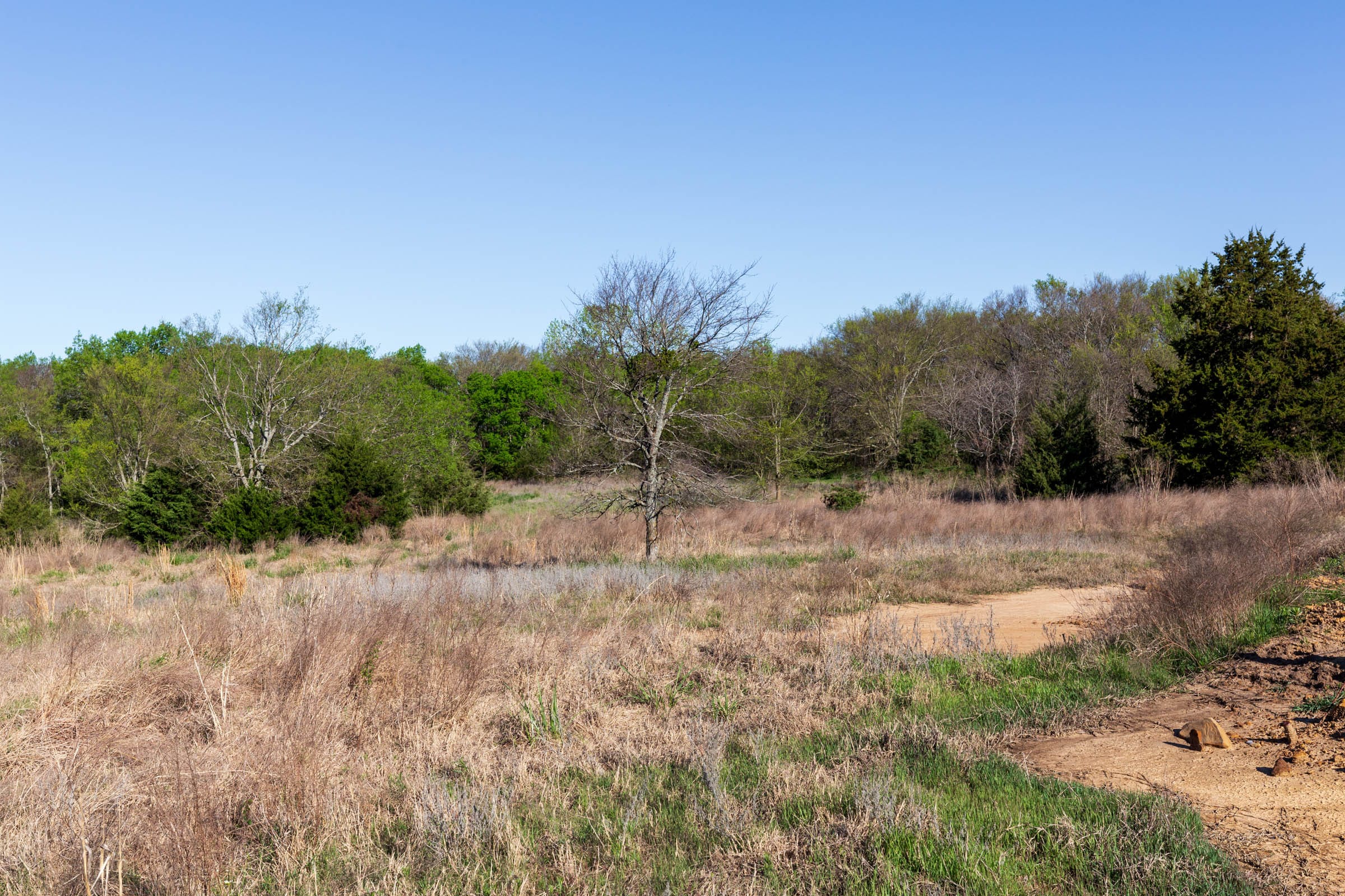 Prairie Grove Tract 5 photo 19
