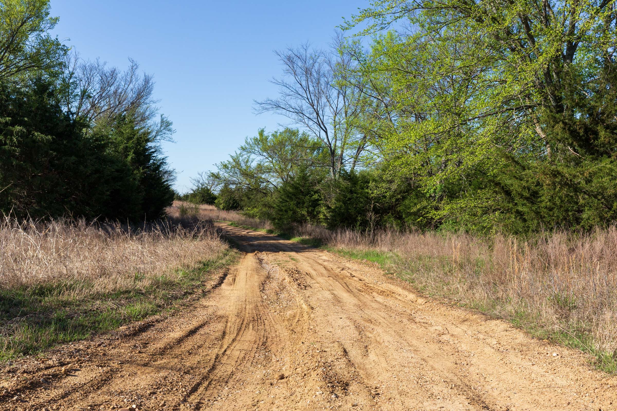 Prairie Grove Tract 5 photo 17