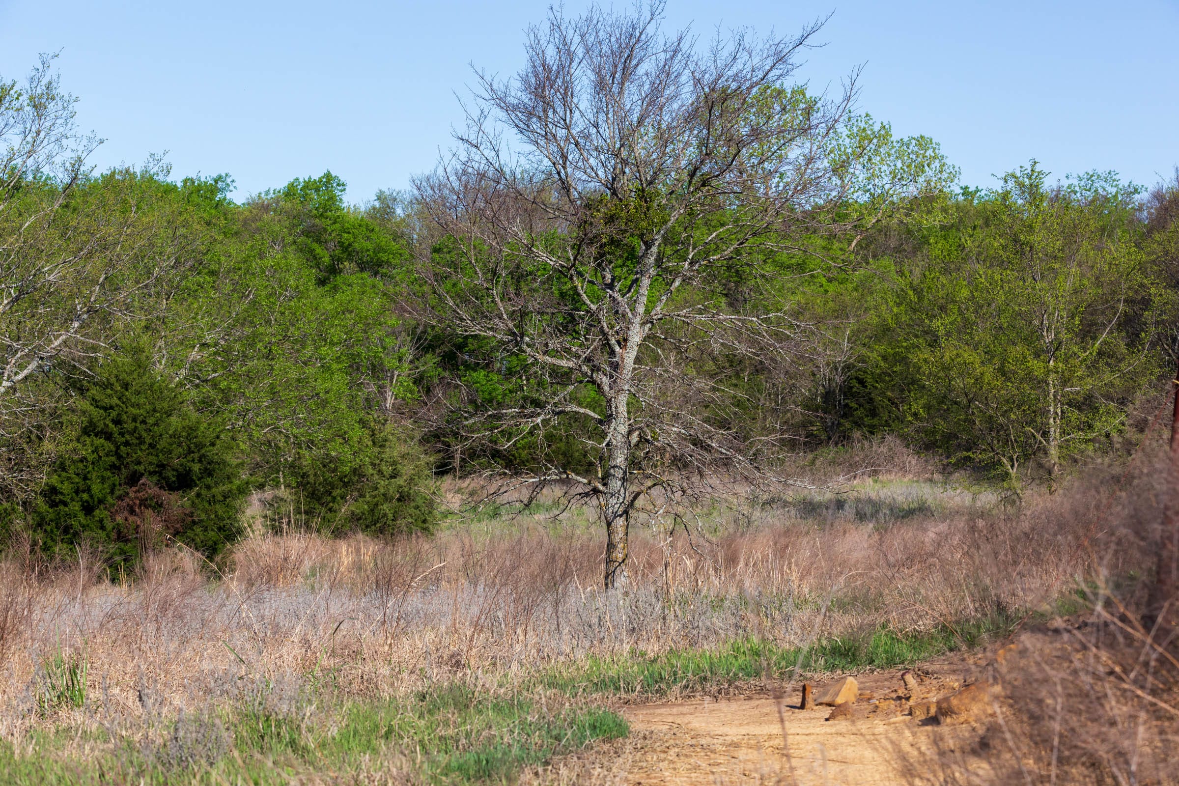 Prairie Grove Tract 5 photo 20