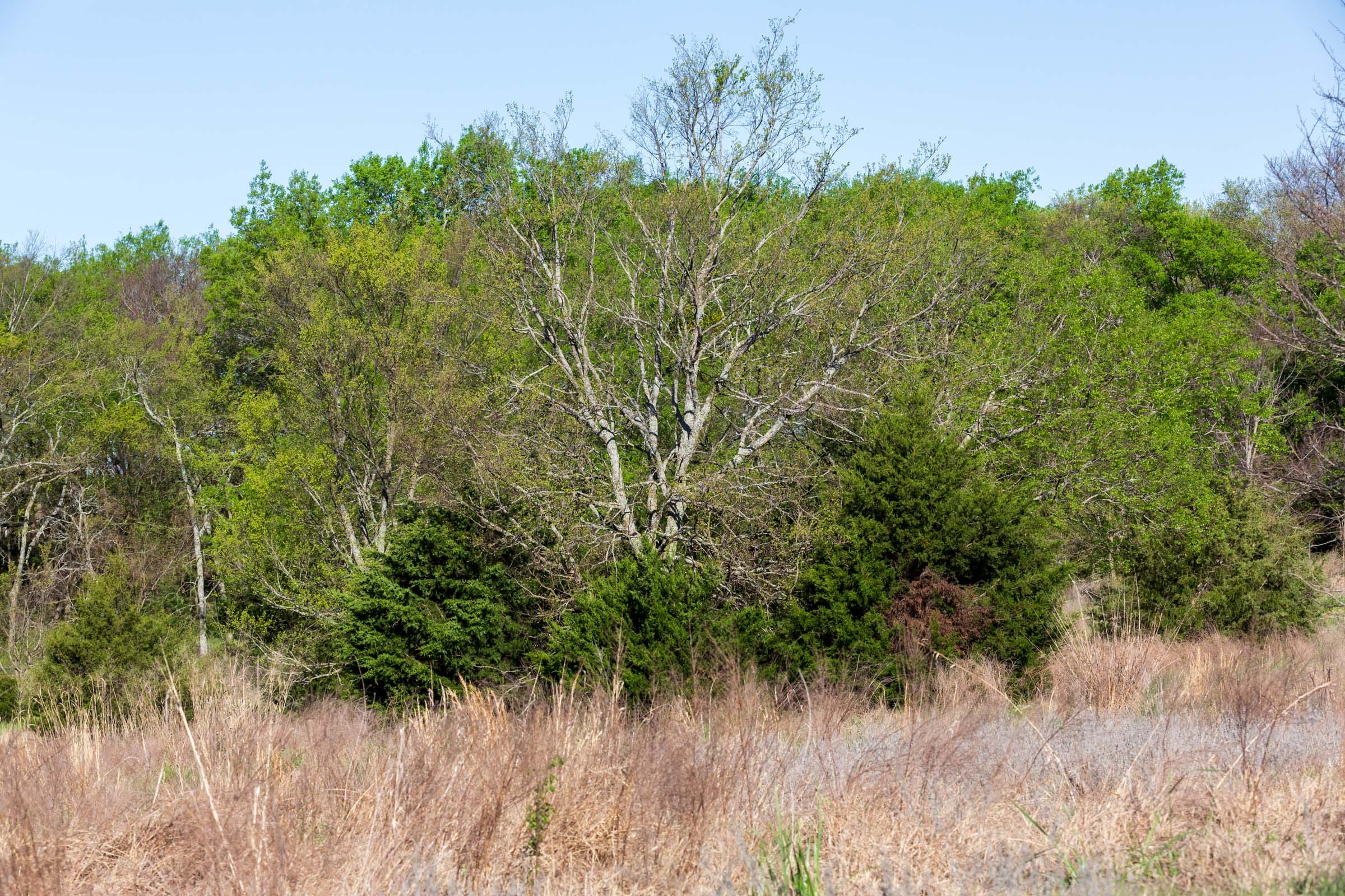 Prairie Grove Tract 5 photo 22