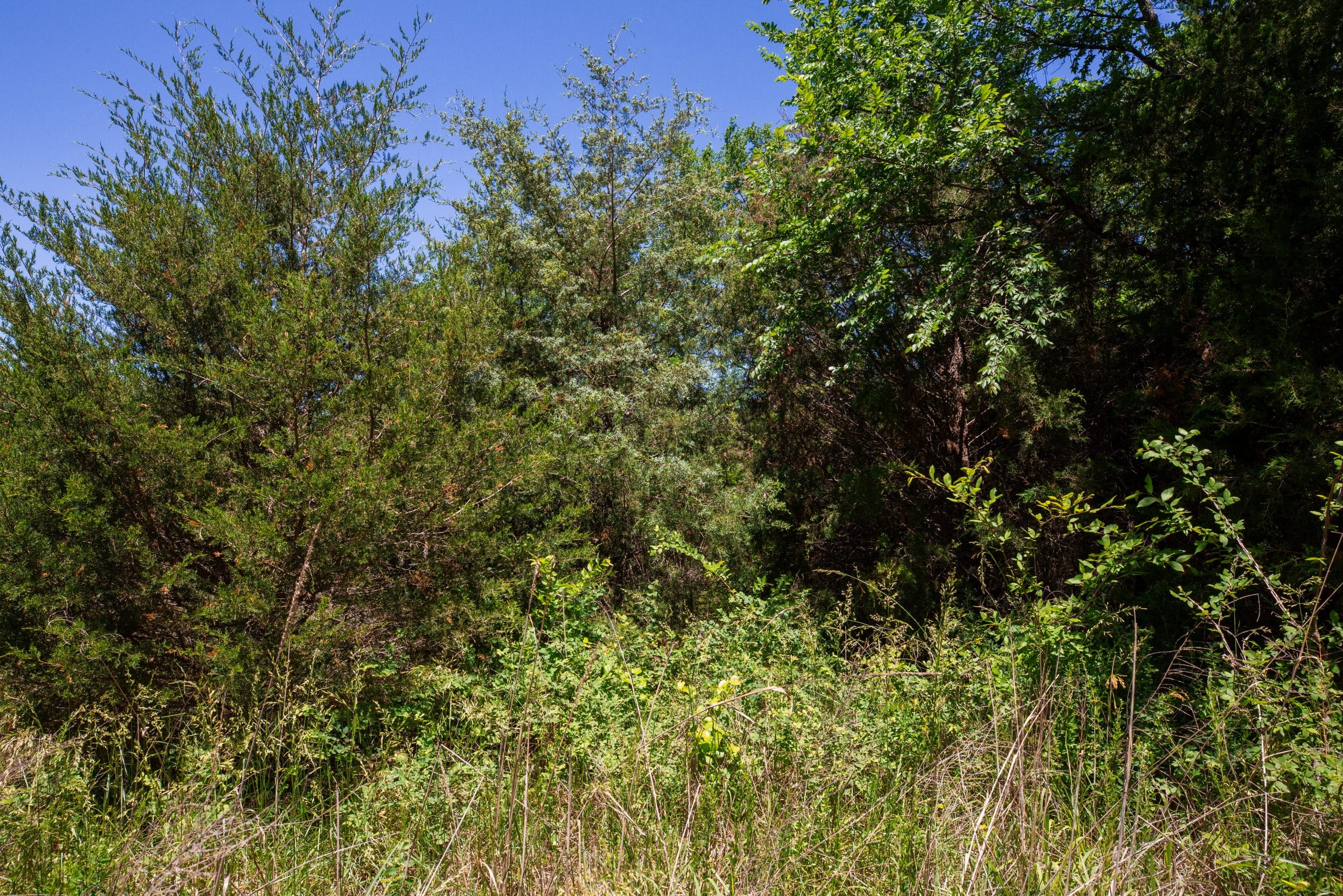 Prairie Grove Tract 5 photo 18