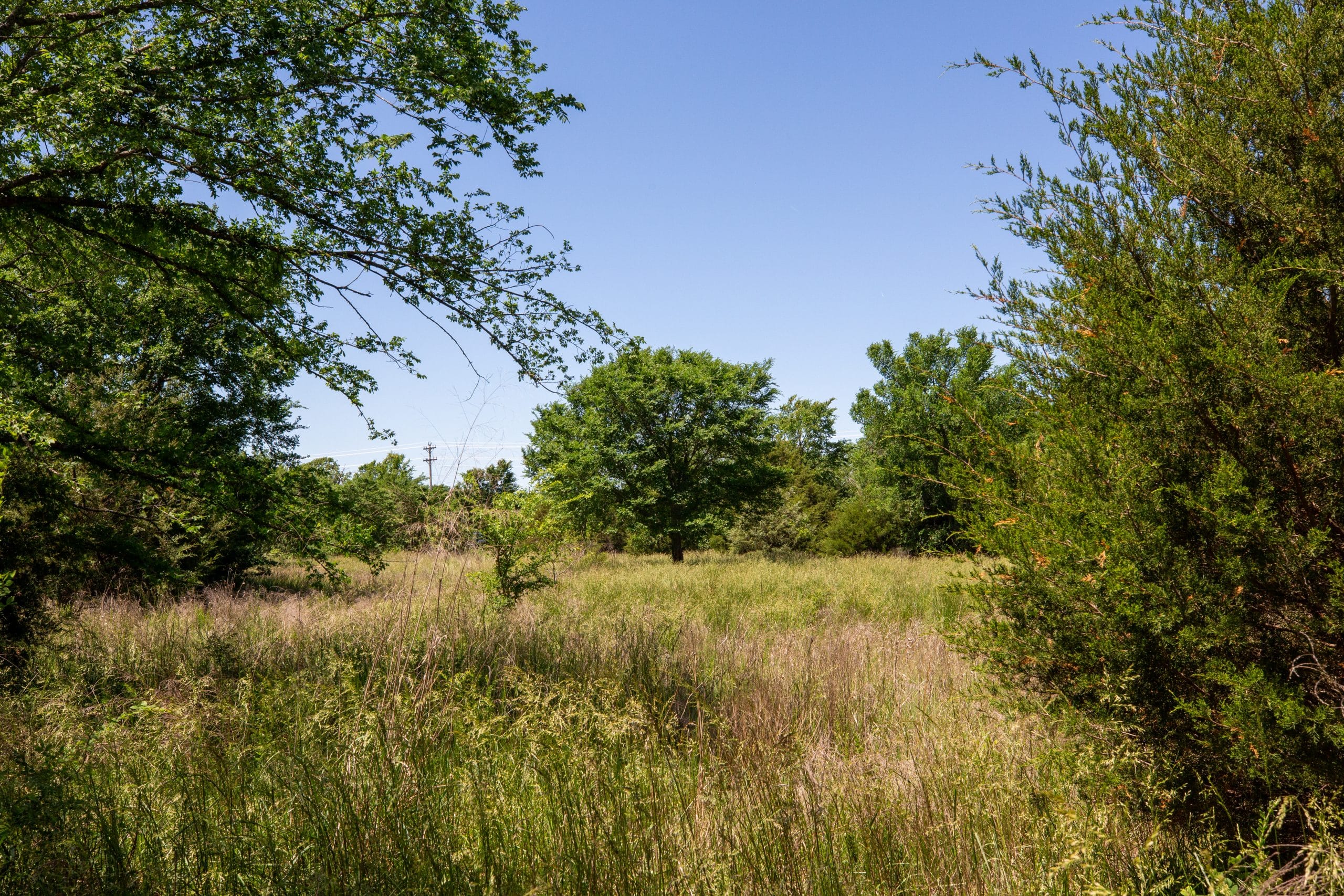 Prairie Grove Tract 5 photo 13