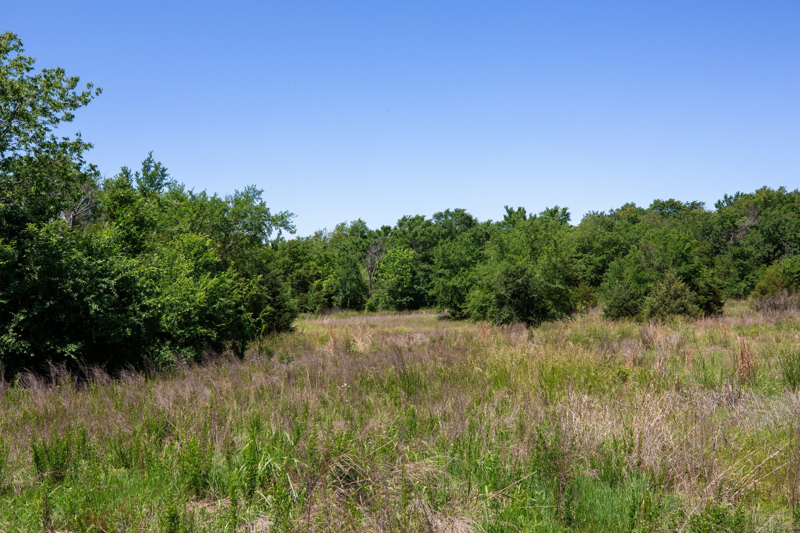 Prairie Grove Tract 5 photo 3