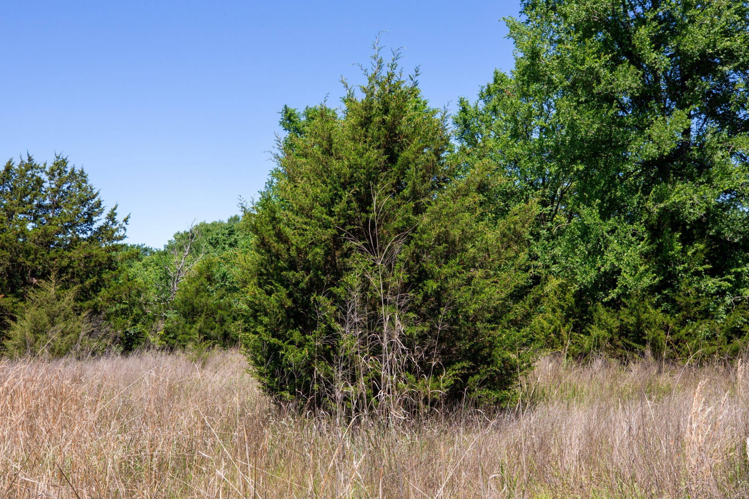 Prairie Grove Tract 5 photo 24