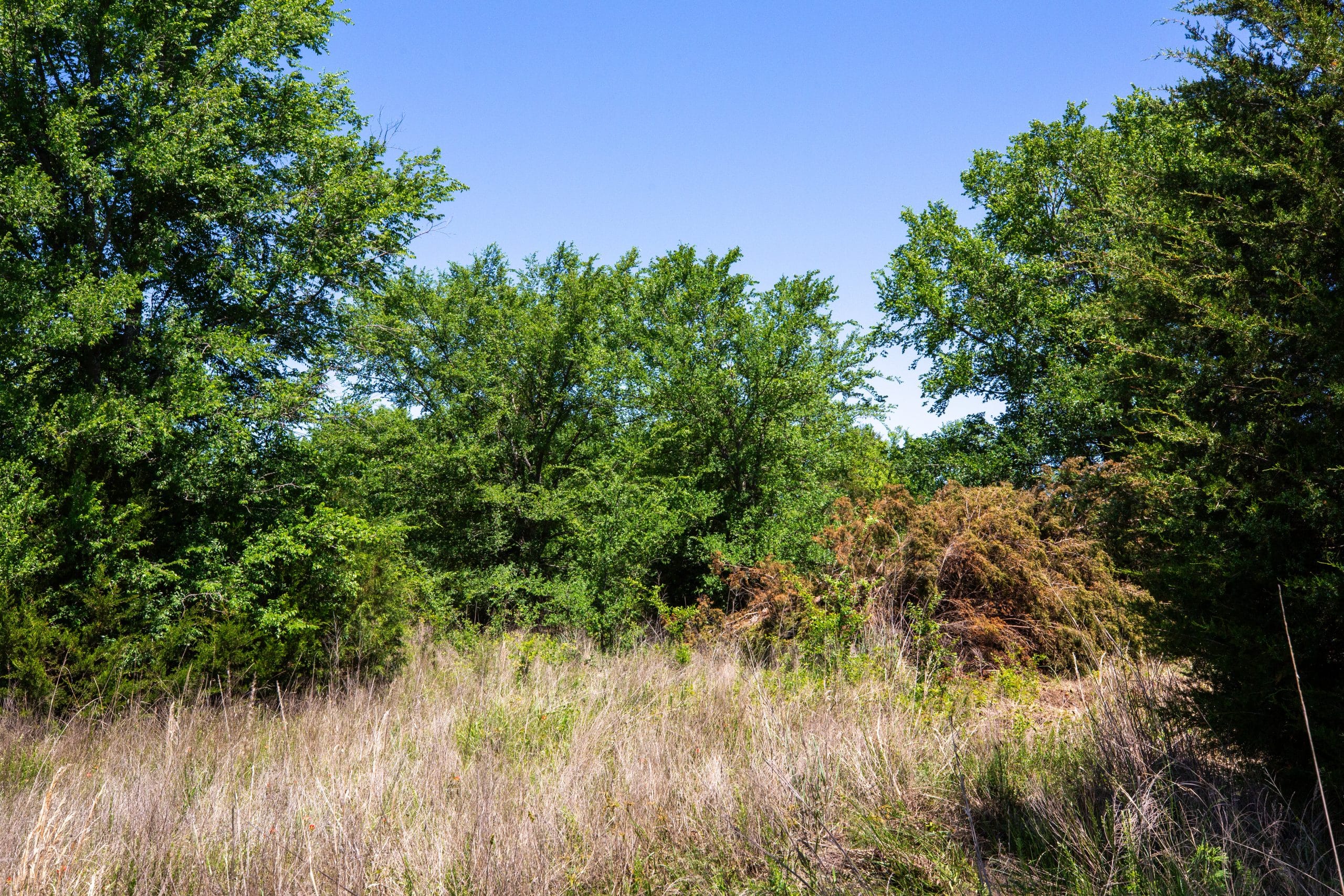 Prairie Grove Tract 5 photo 25
