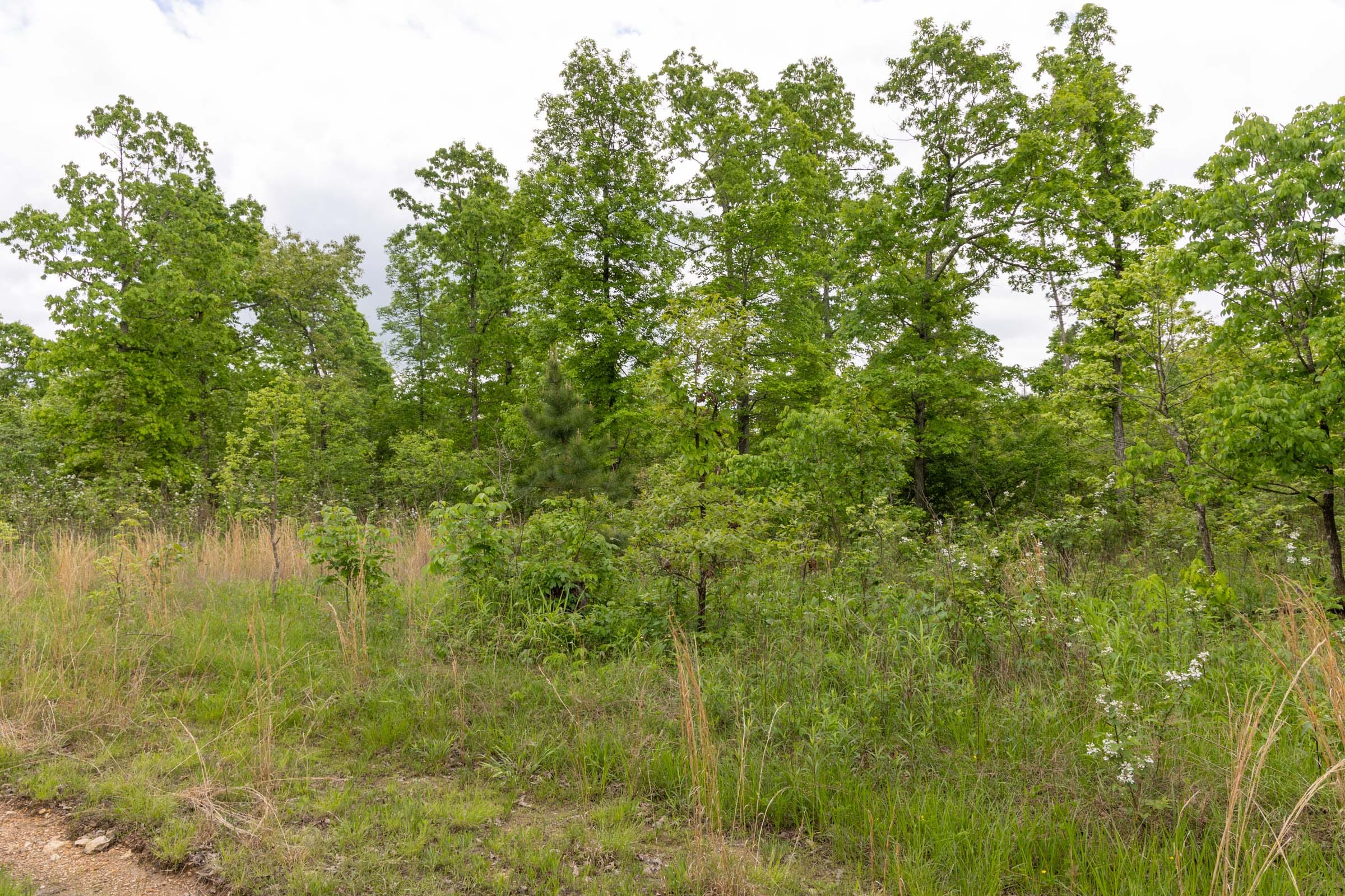 Sleepy Hollow Phase II Tract 71 photo 11