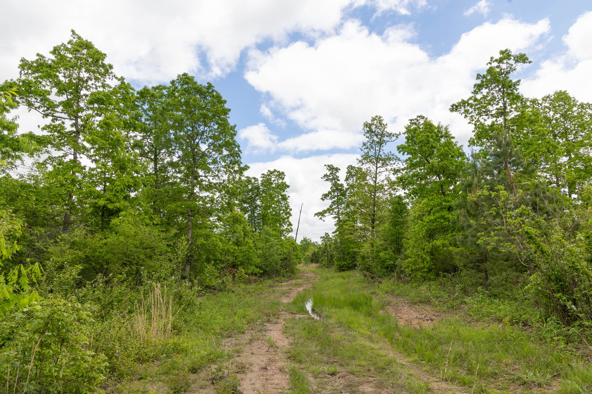Sleepy Hollow Phase II Tract 71 photo 2