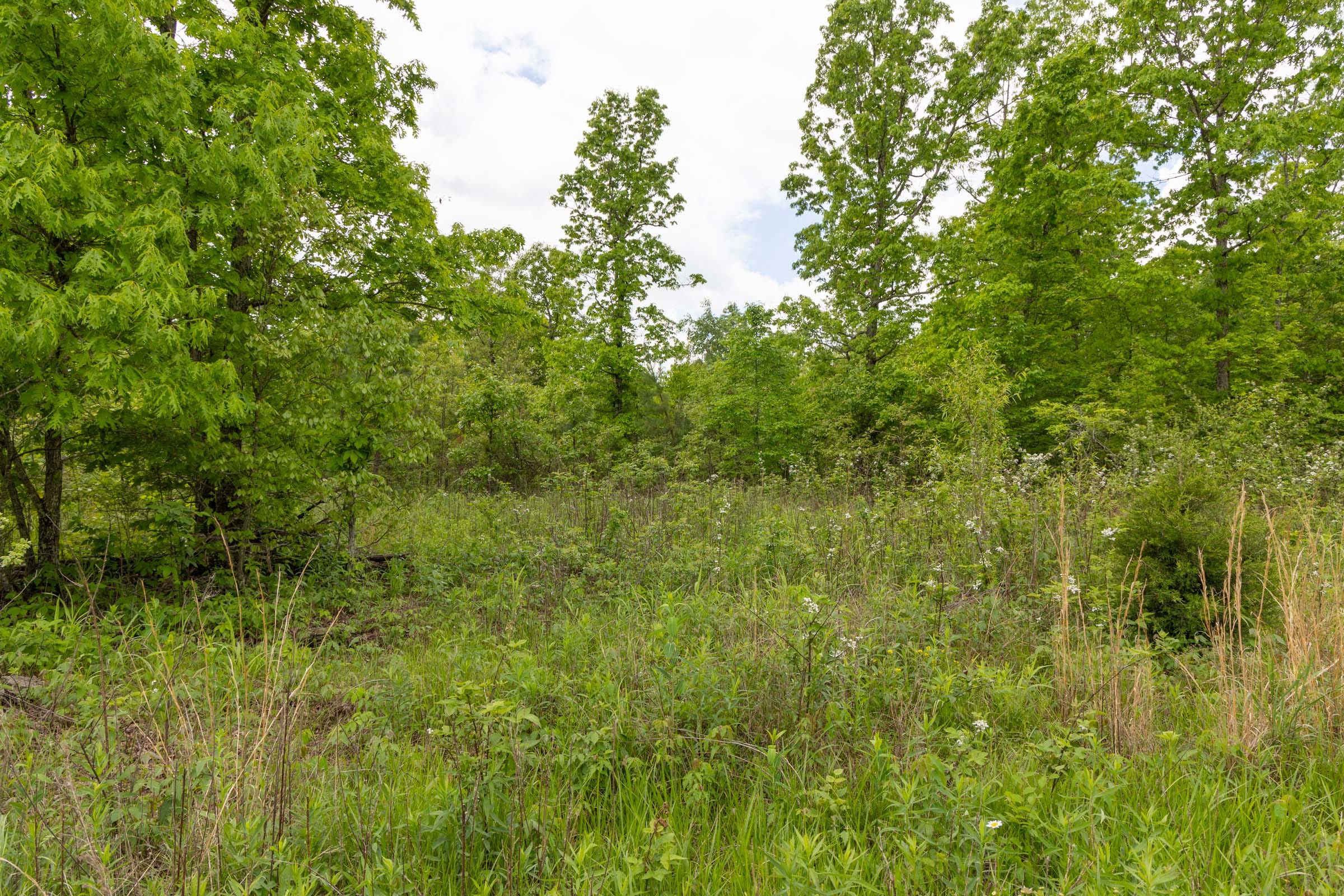 Sleepy Hollow Phase II Tract 71 photo 10