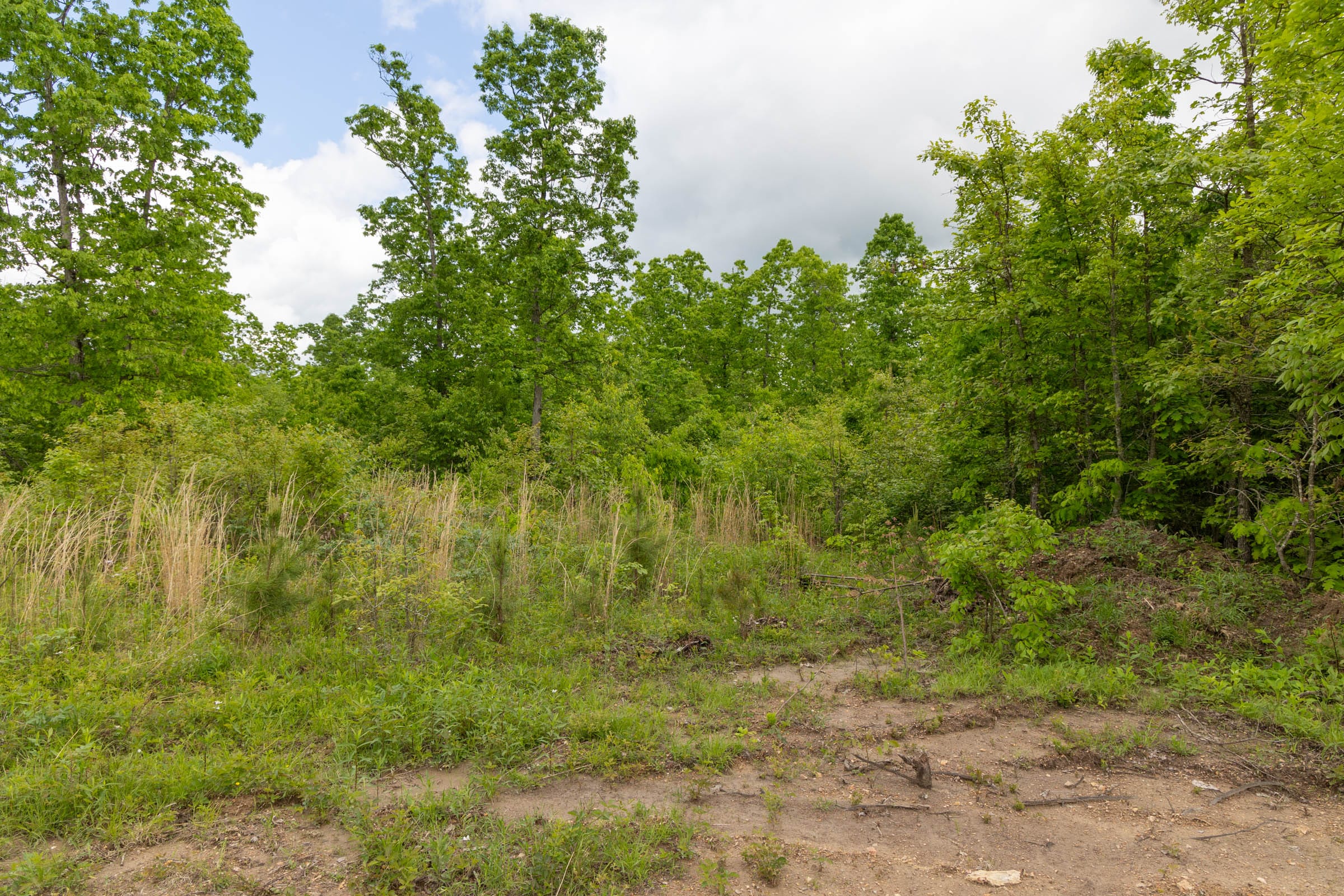 Sleepy Hollow Phase II Tract 71 photo 9