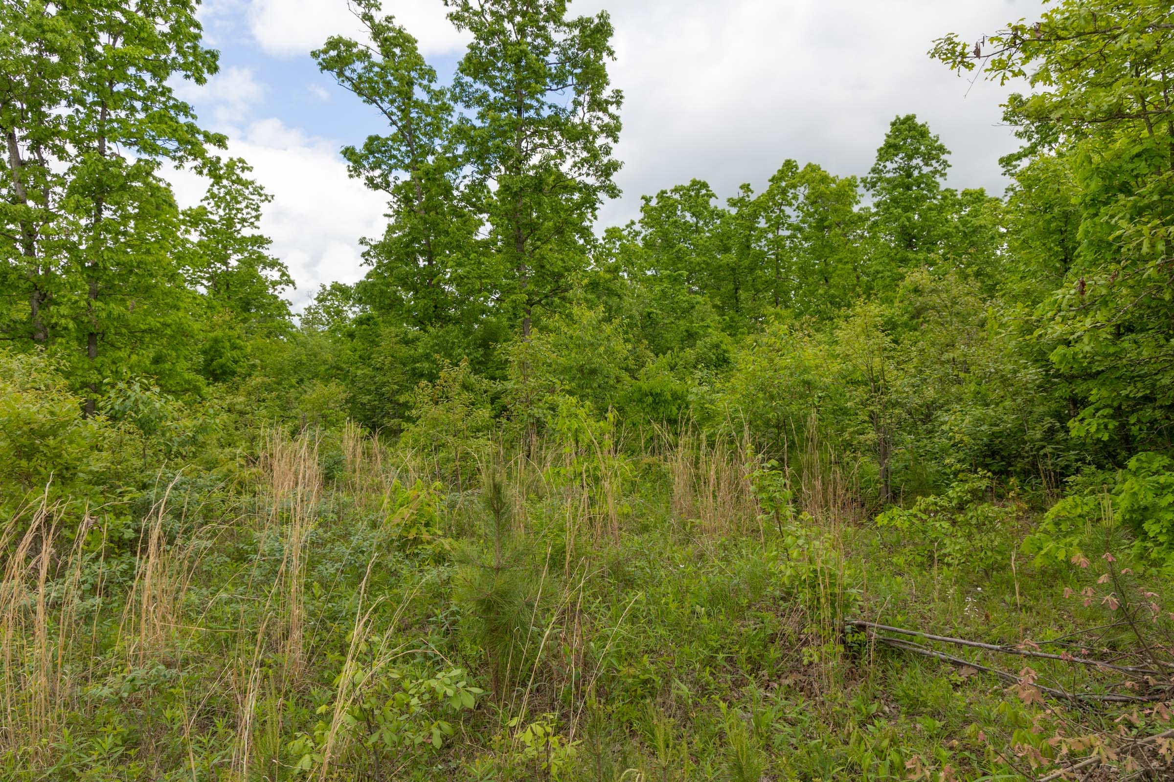 Sleepy Hollow Phase II Tract 71 photo 8