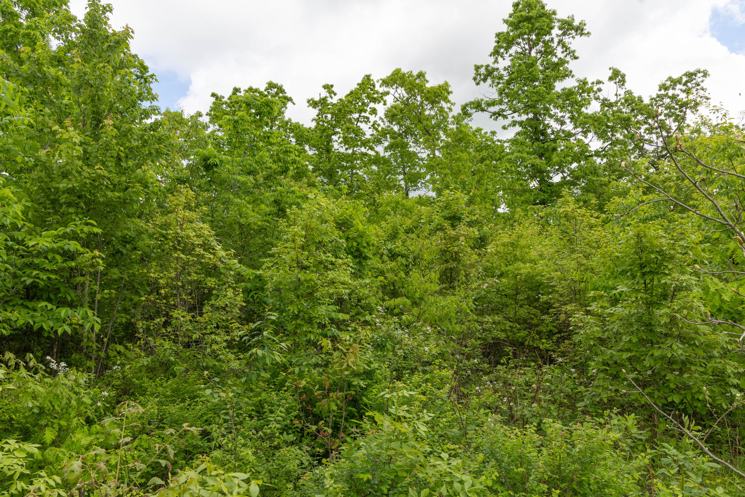 Sleepy Hollow Phase II Tract 71 photo 7