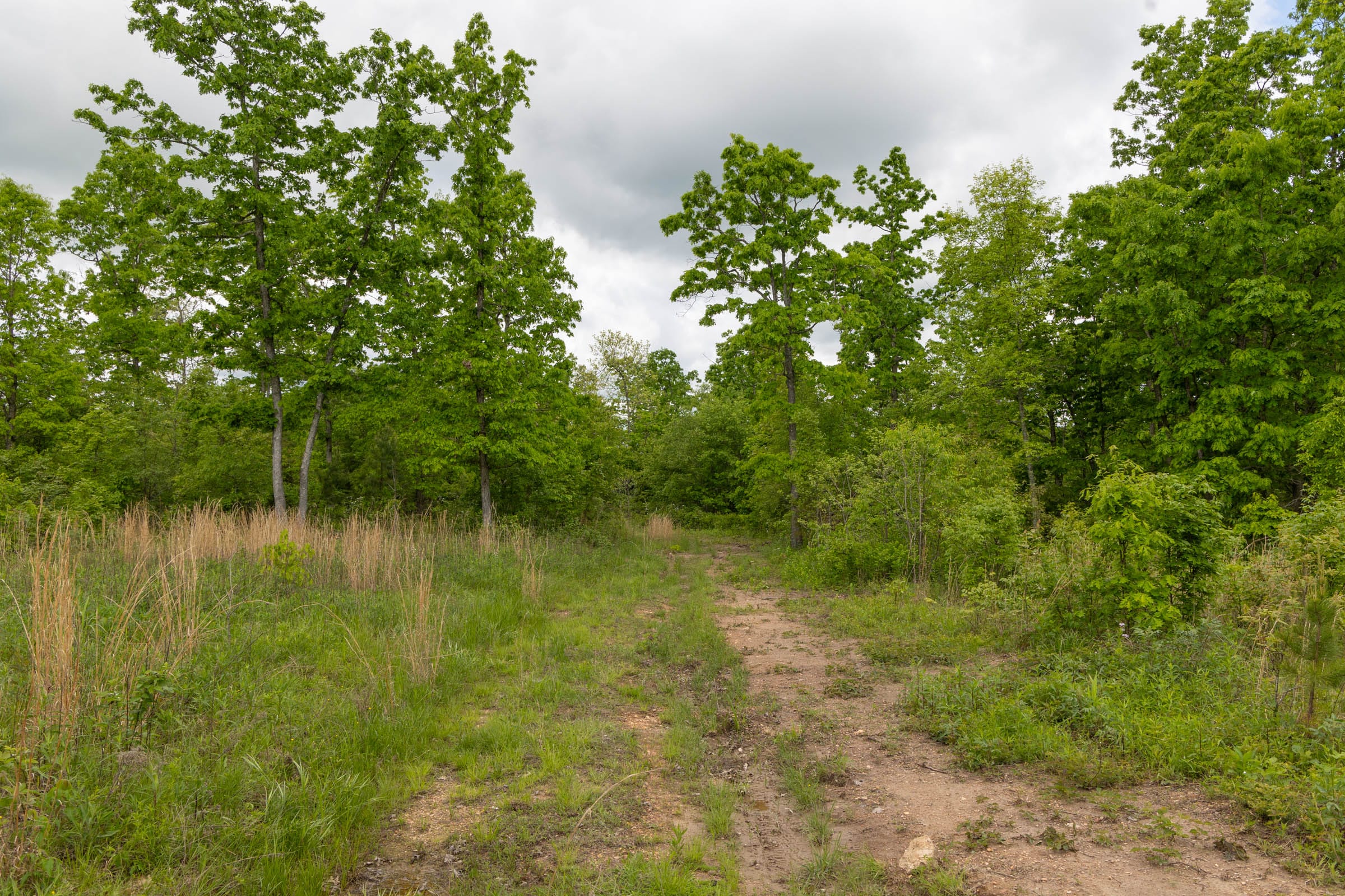 Sleepy Hollow Phase II Tract 71 photo 6