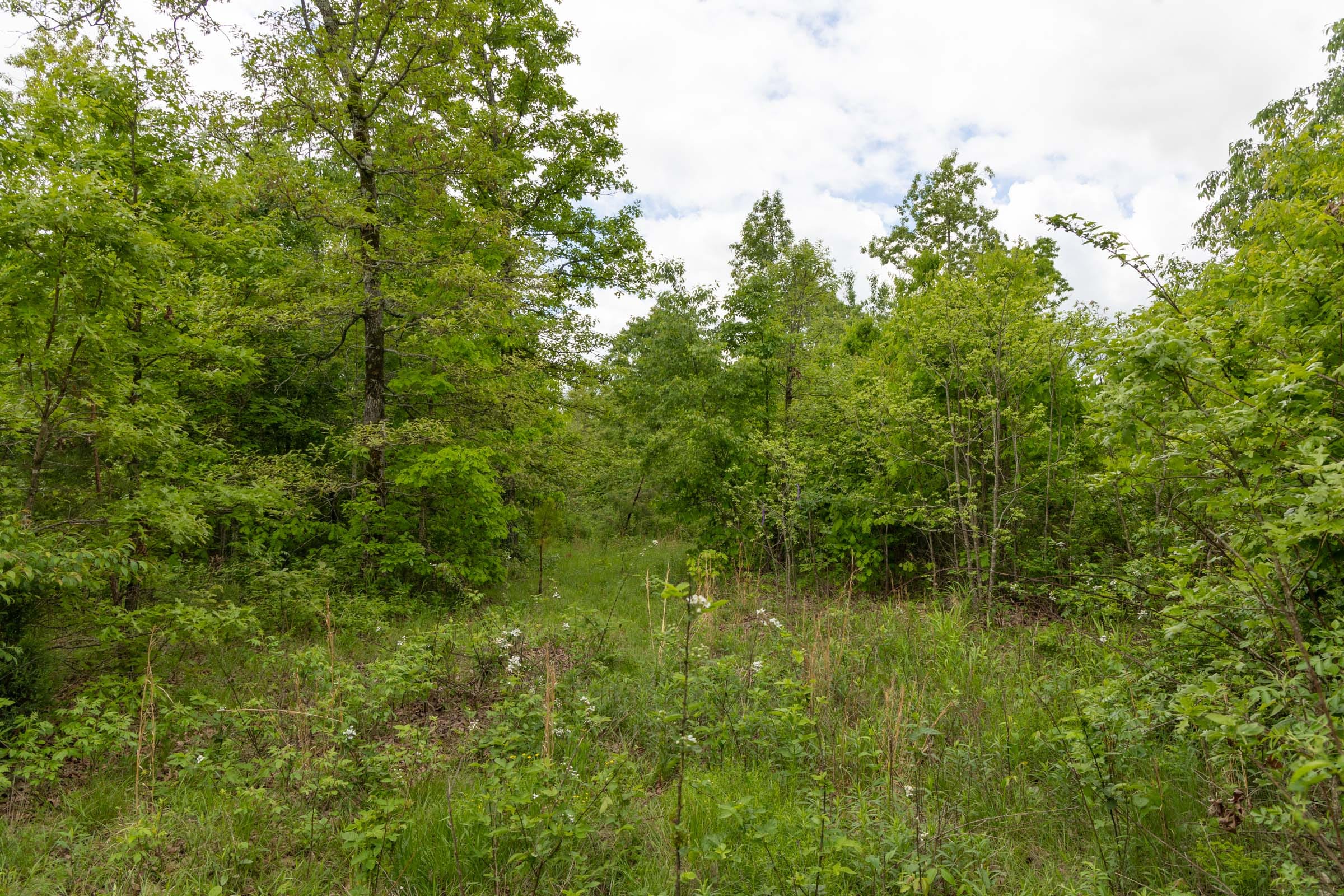 Sleepy Hollow Phase II Tract 71 photo 12
