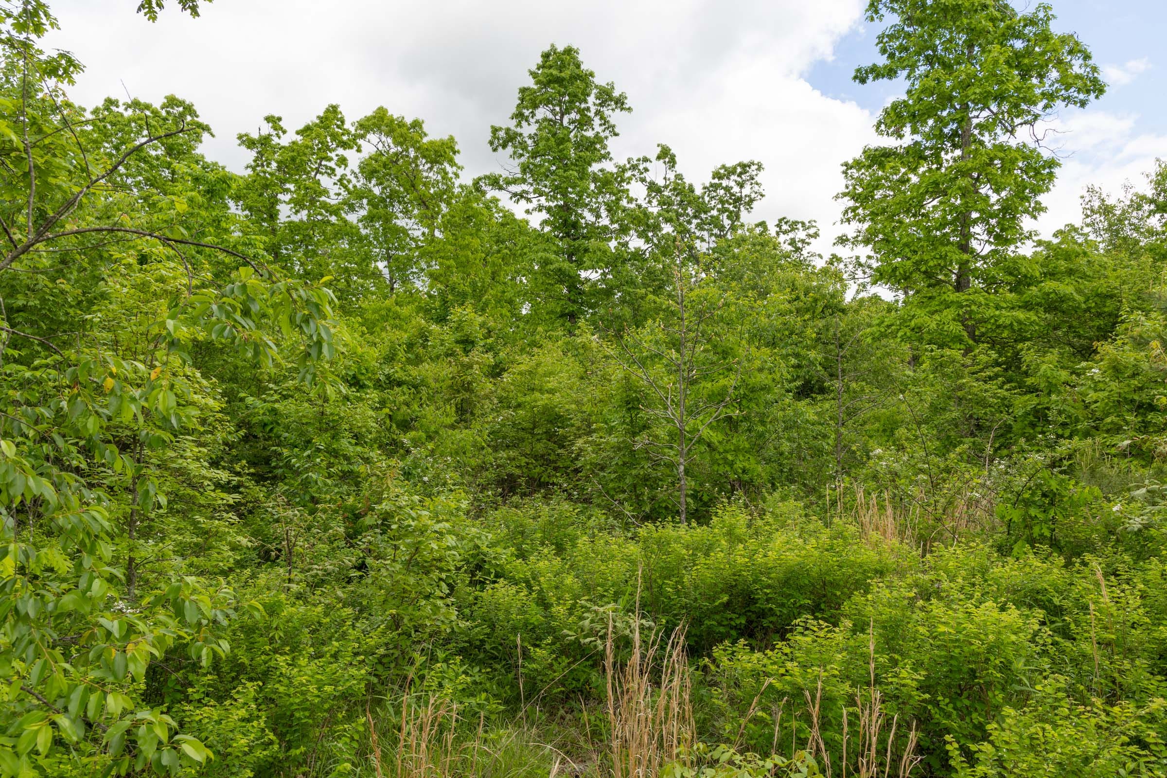 Sleepy Hollow Phase II Tract 71 photo 3