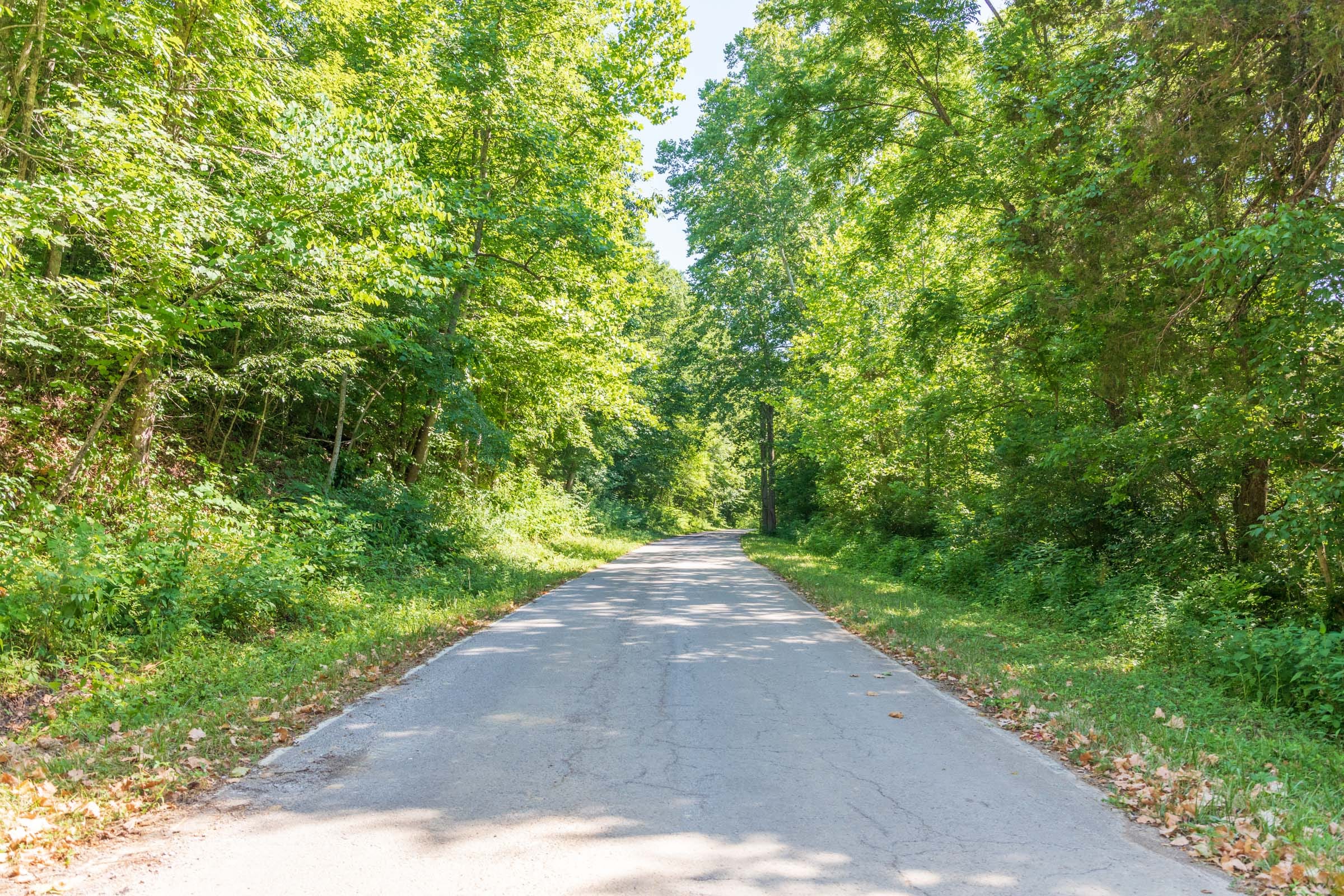 River’s Edge Tract 35 photo 2