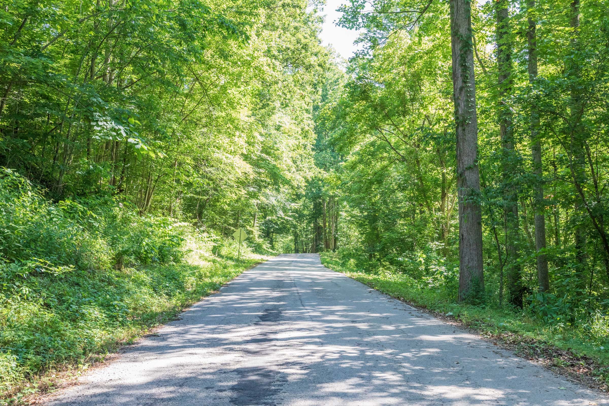 River’s Edge Tract 35 photo 7