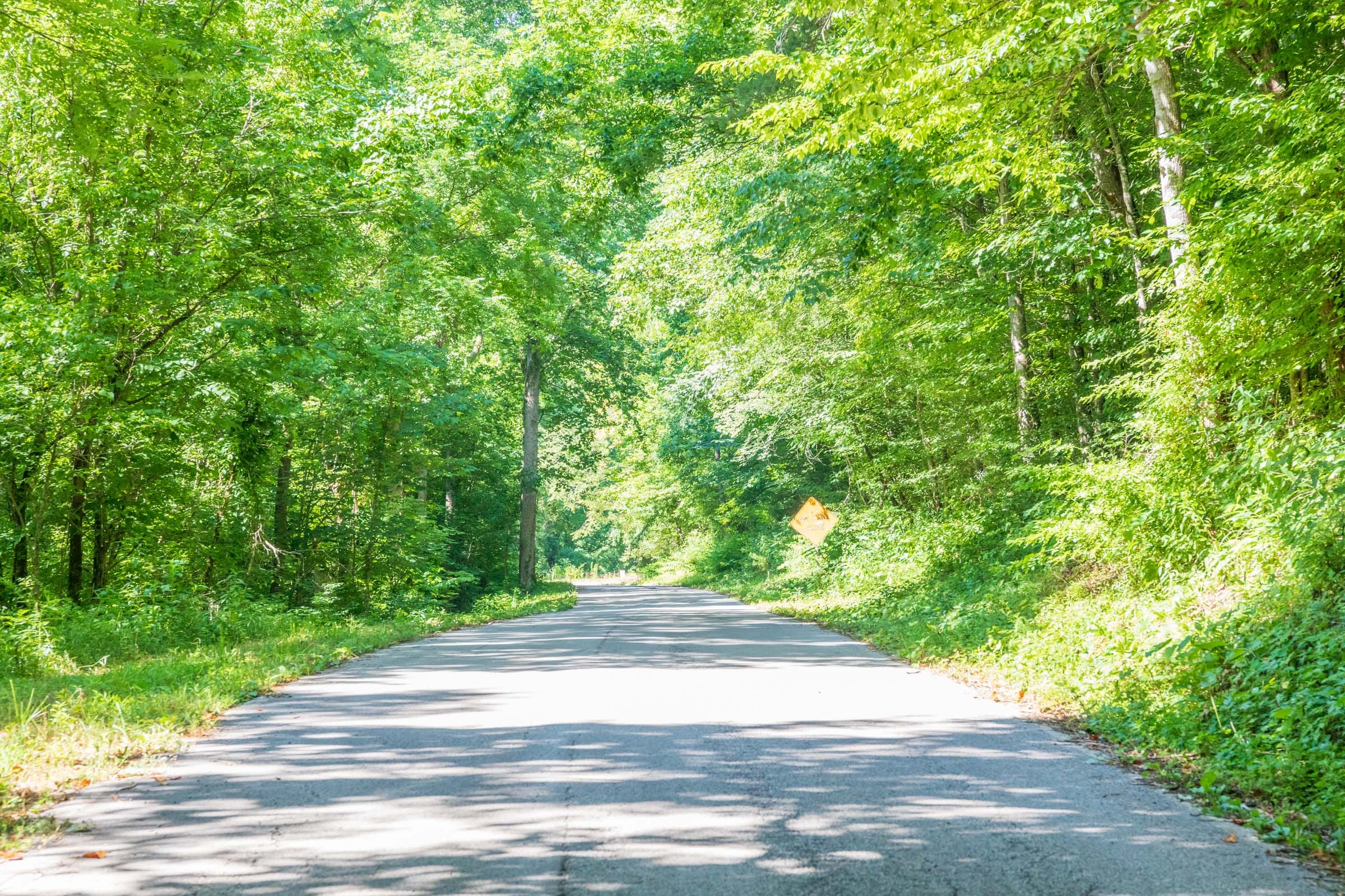 River’s Edge Tract 35 photo 13