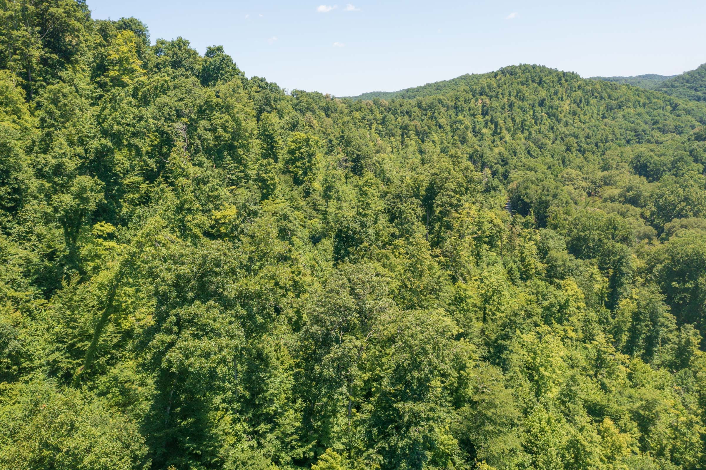 River’s Edge Tract 35 photo 15
