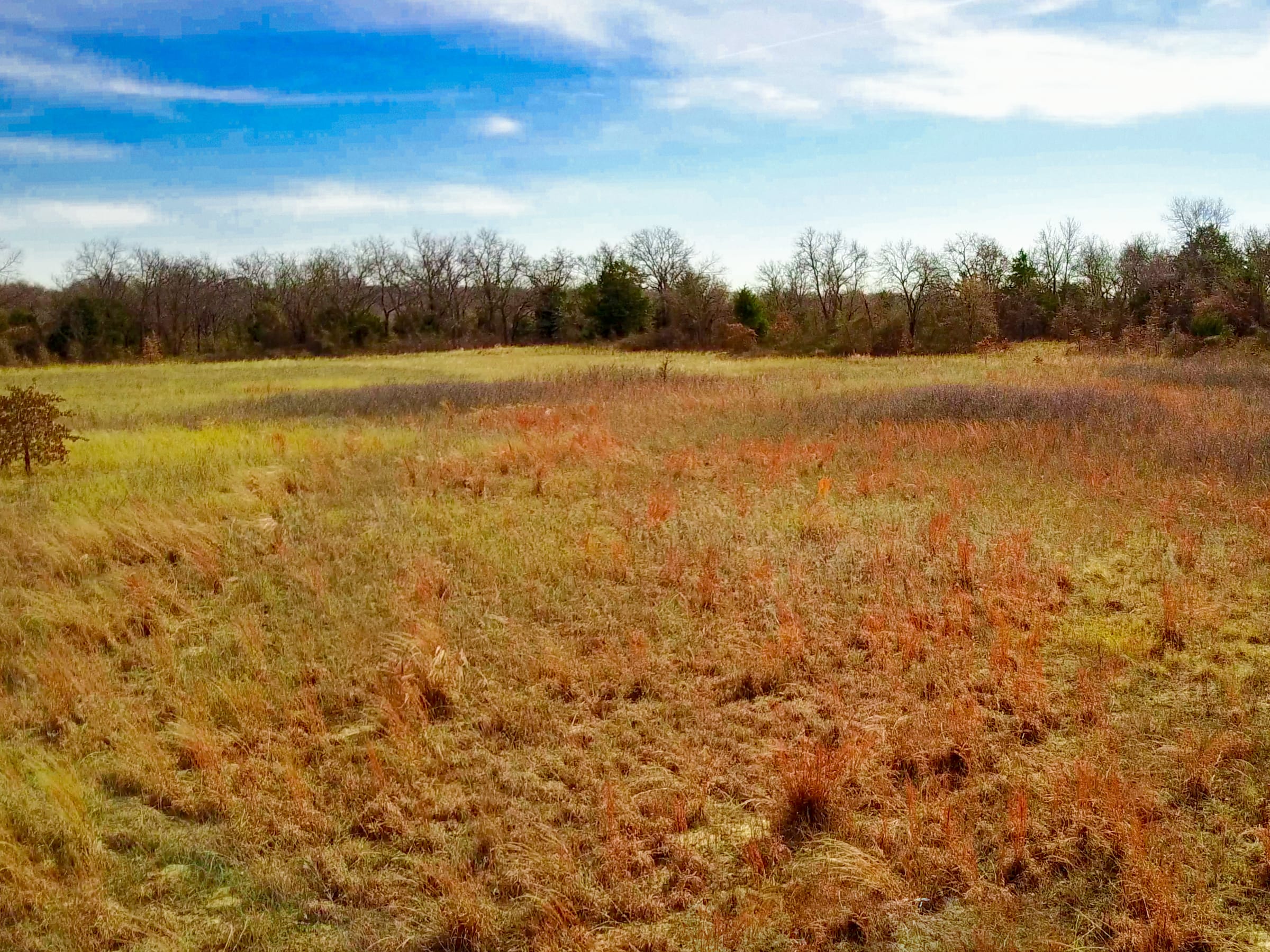 Legacy Ranch Tract 9 photo 4