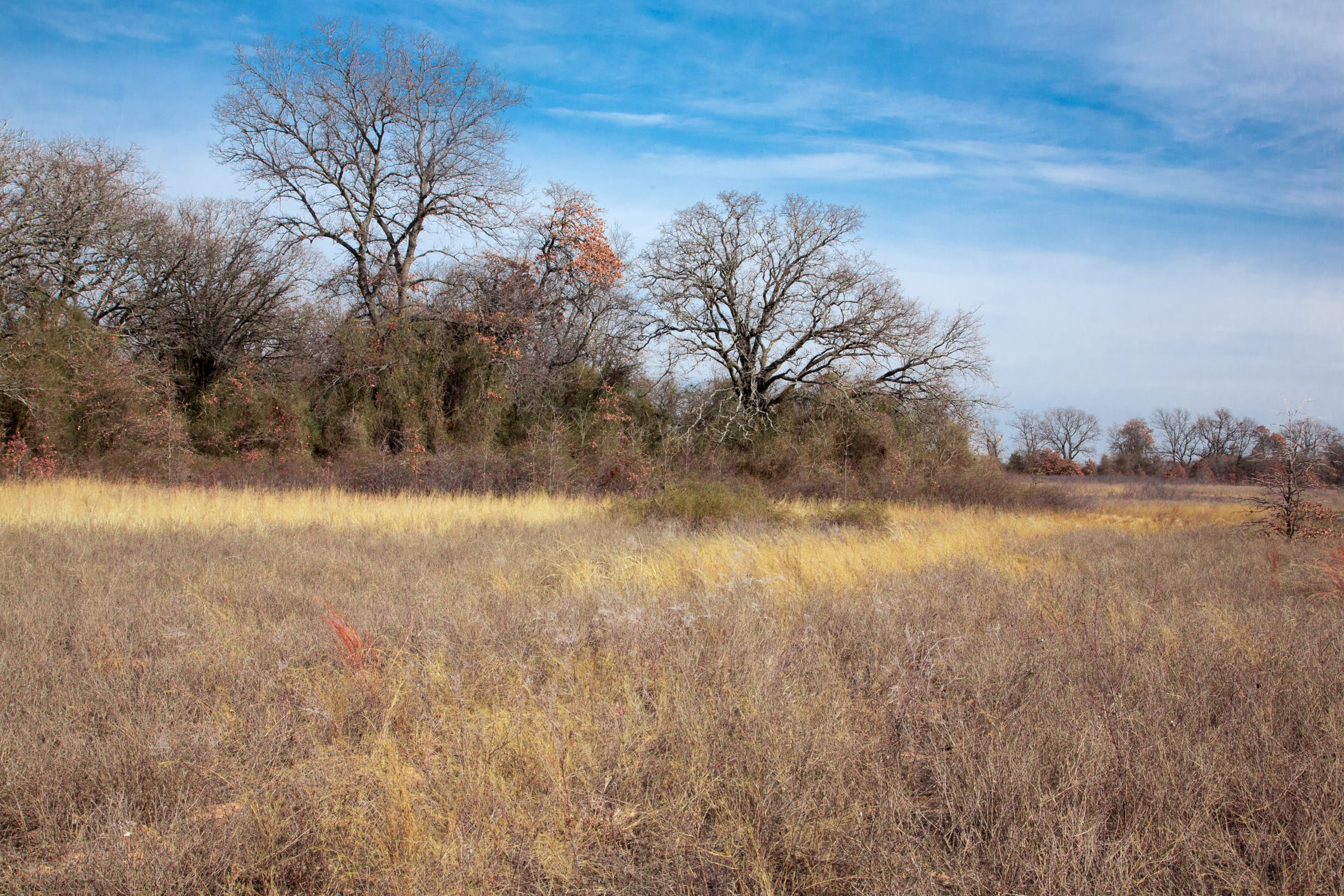 Legacy Ranch Tract 9 photo 9