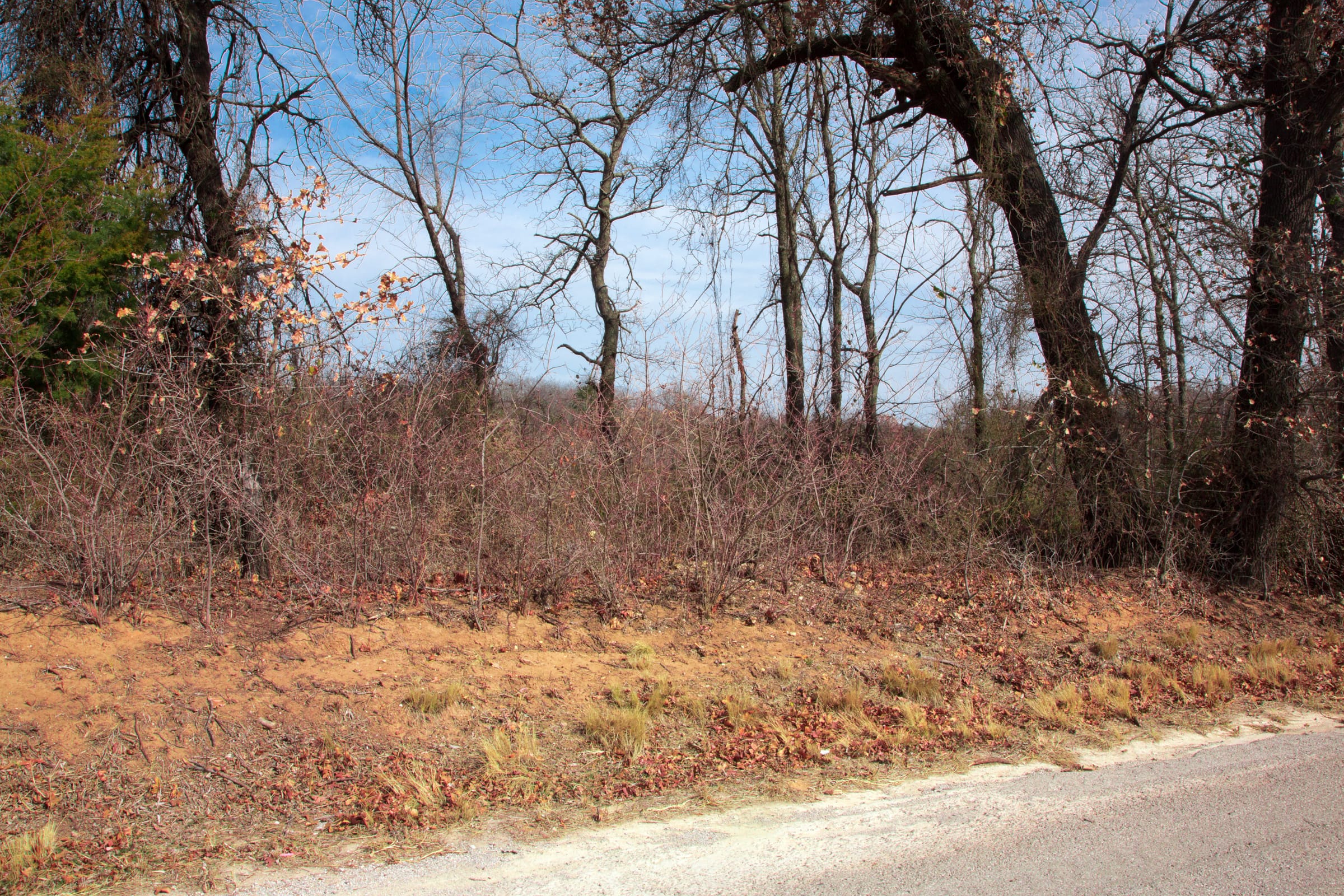 Legacy Ranch Tract 9 photo 11