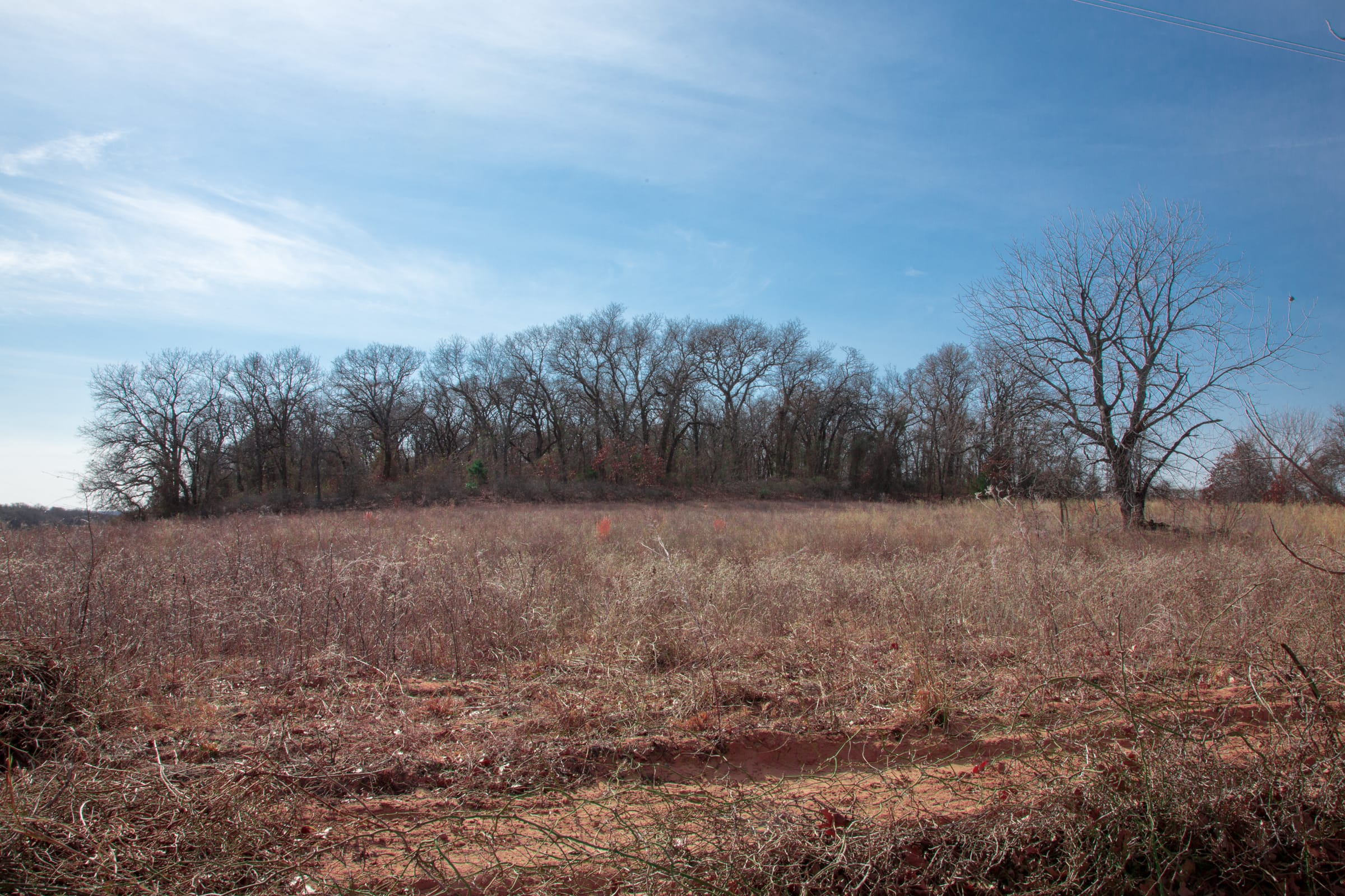 Legacy Ranch Tract 9 photo 13
