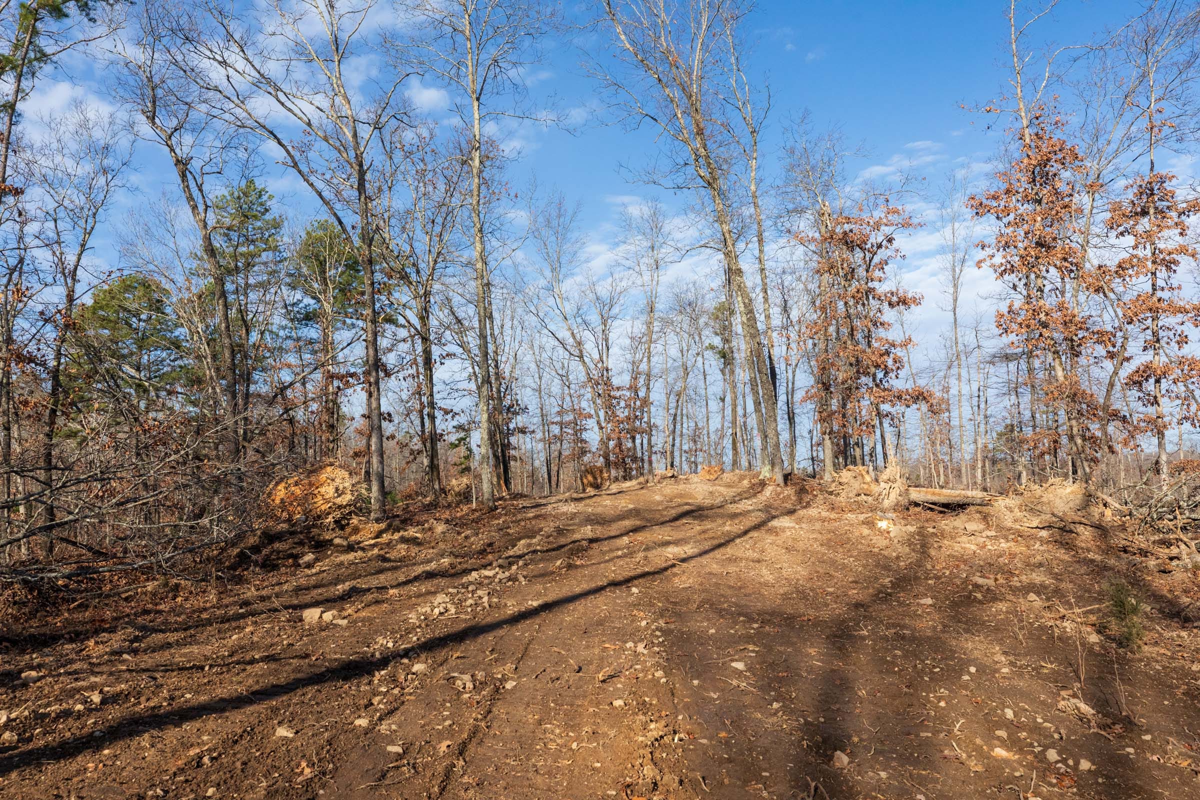 Cypress Ridge Tract 39 photo 1