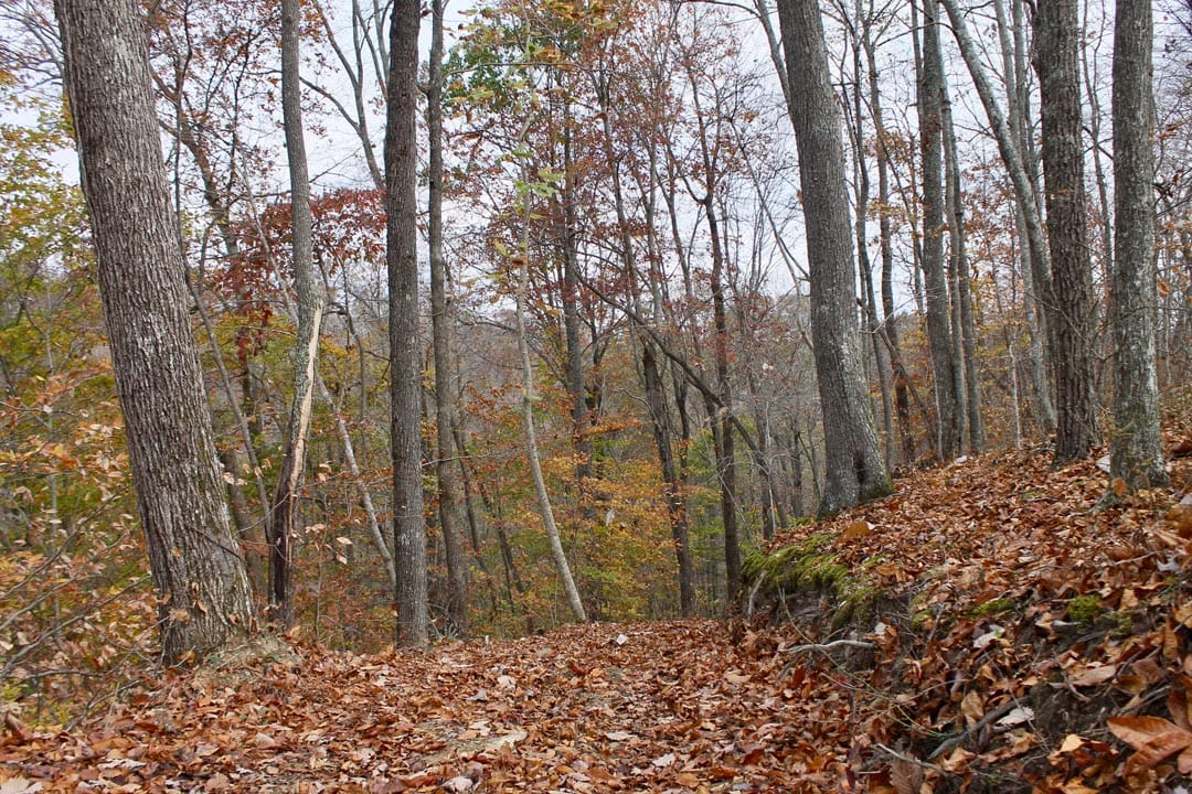 Autumn Ridge Tract 21 photo 1