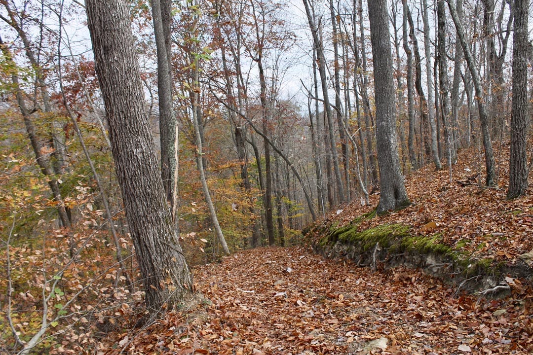 Autumn Ridge Tract 21 photo 2
